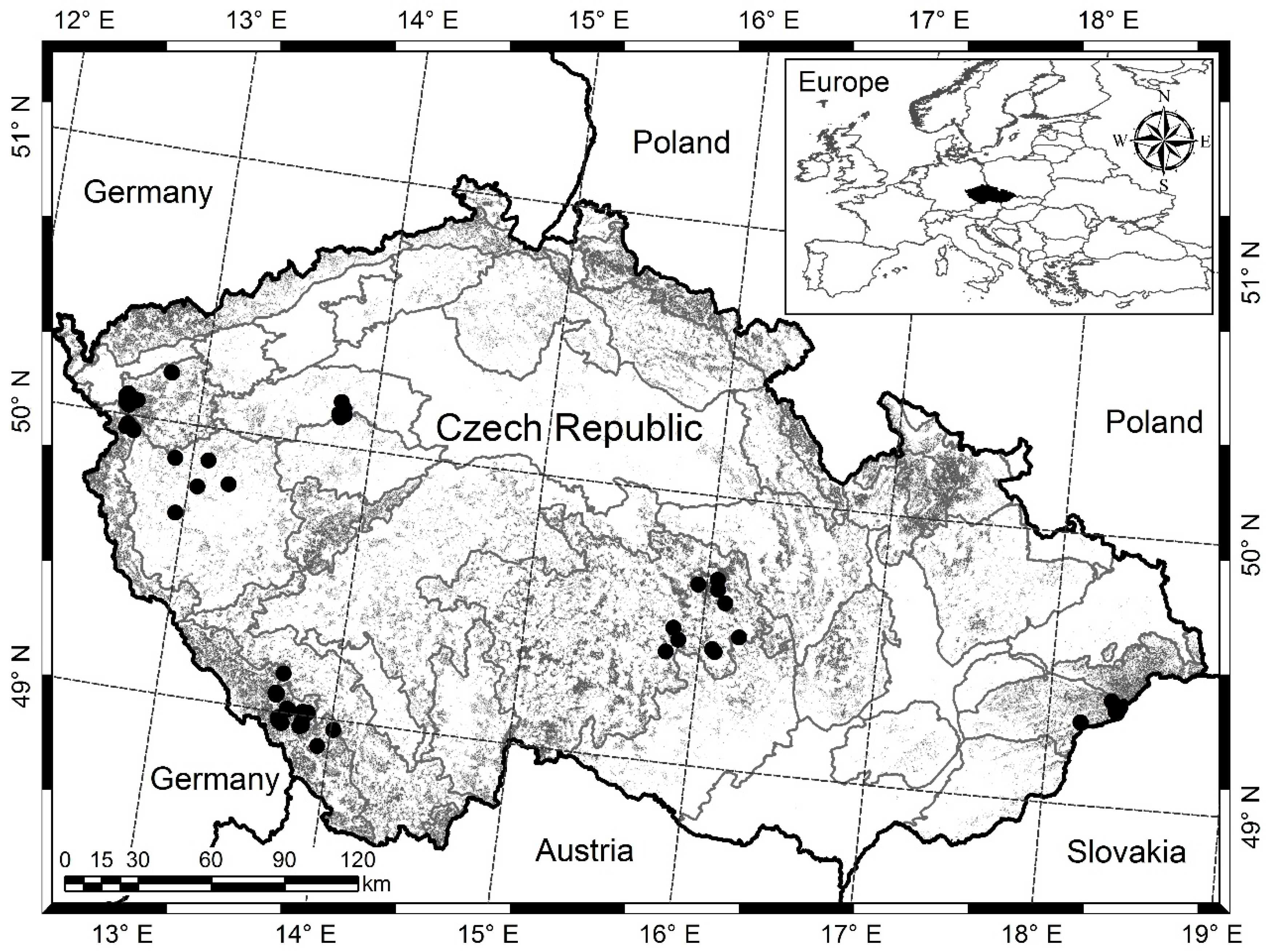 Forests 10 00144 g001