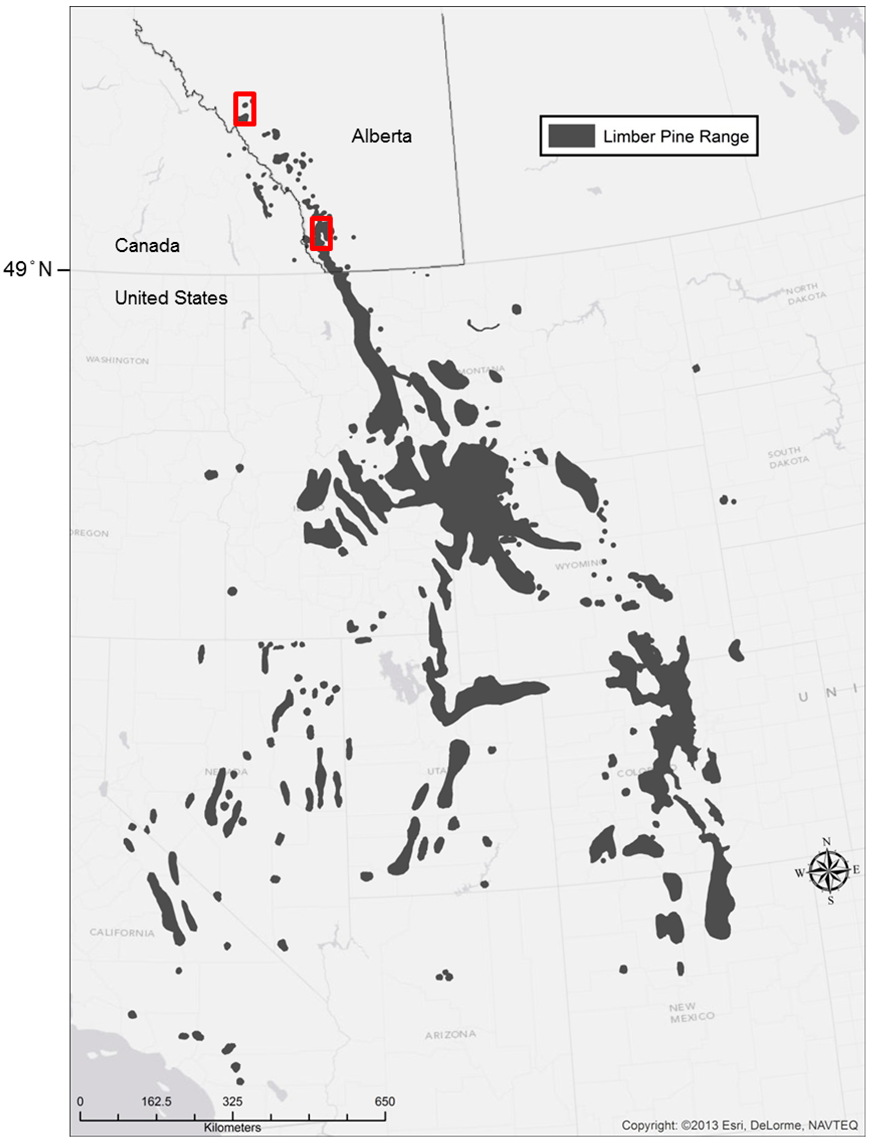 Forests 10 00146 g001 Forests 10 00146 g001
