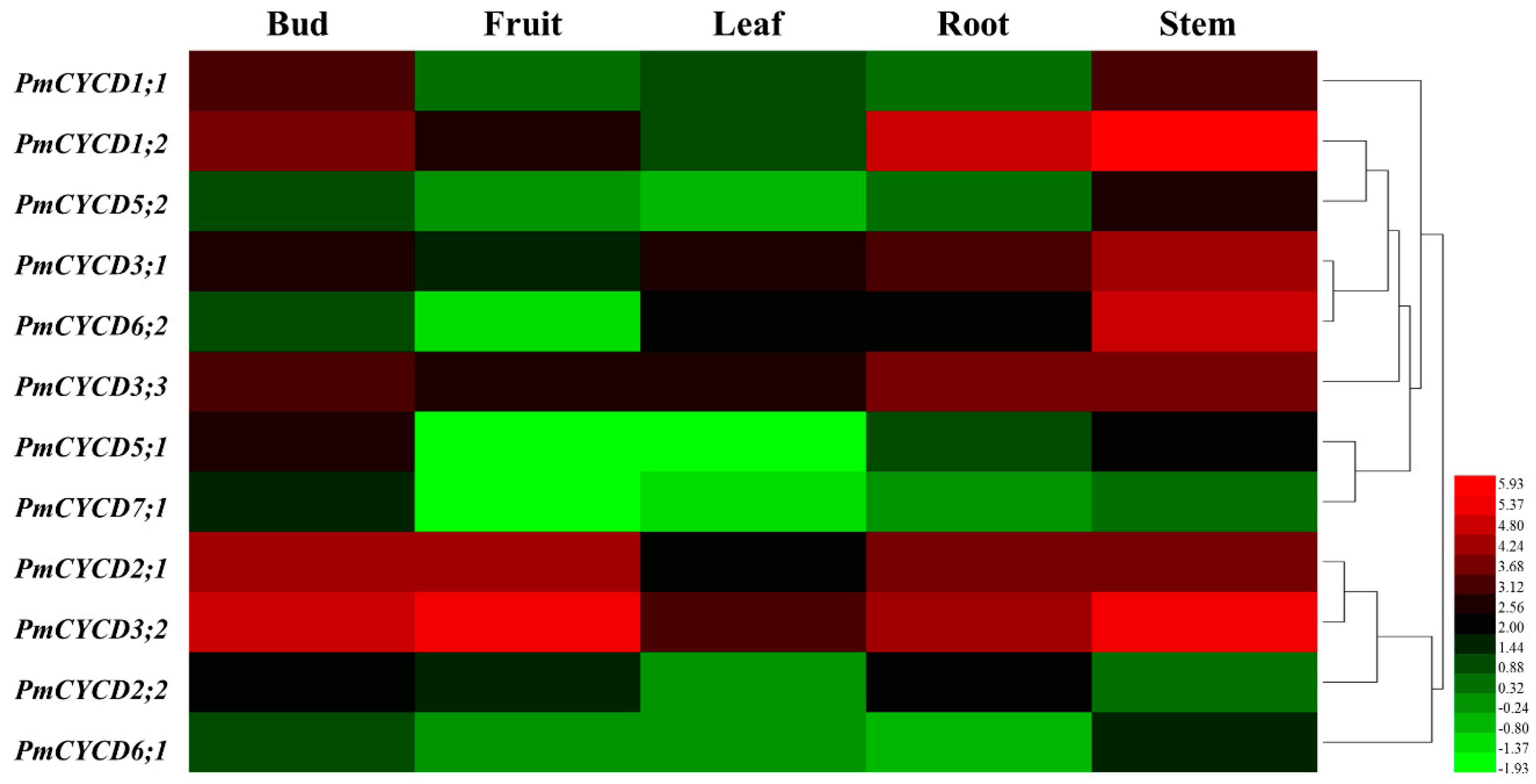 Forests 10 00147 g004