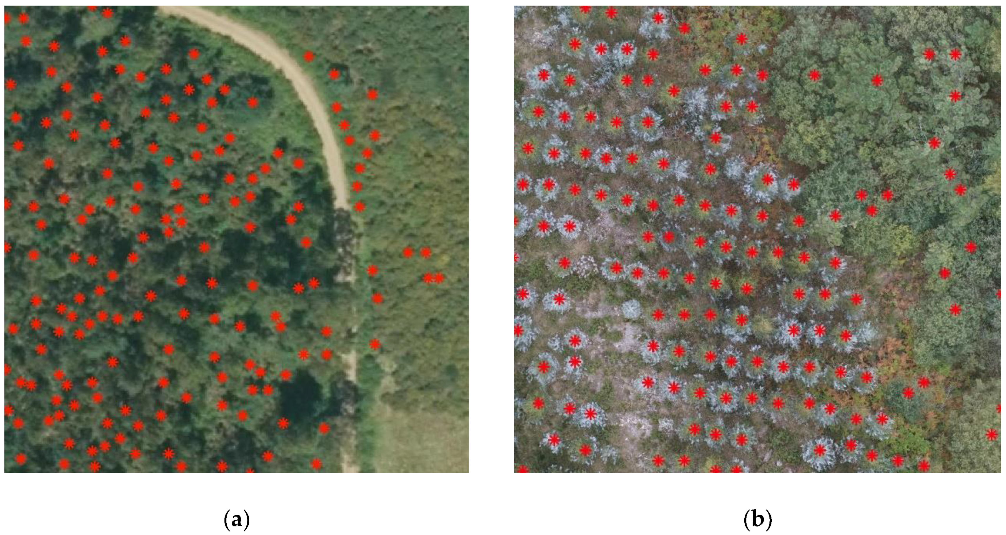 Forests 10 00148 g009