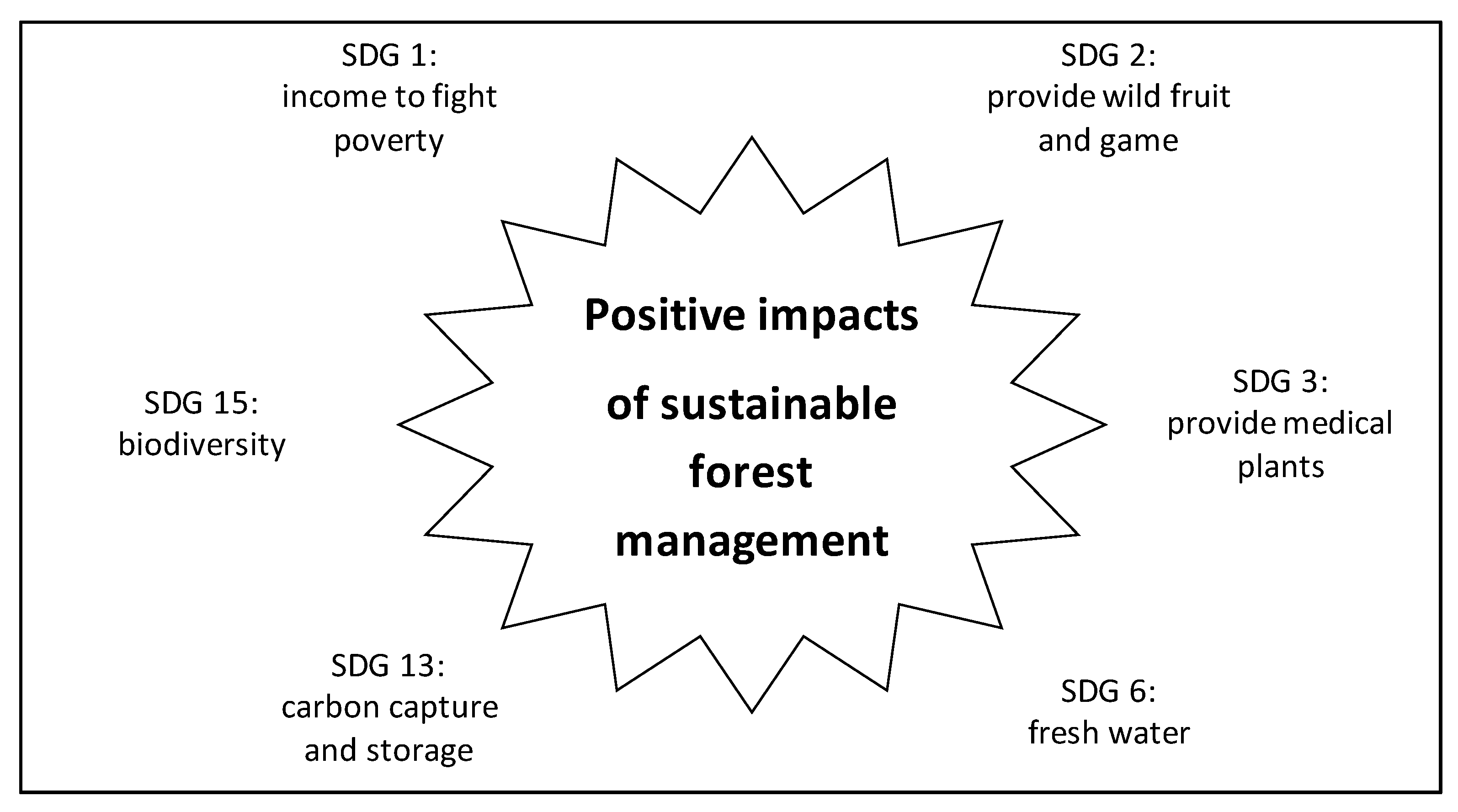 Forests 10 00152 g001