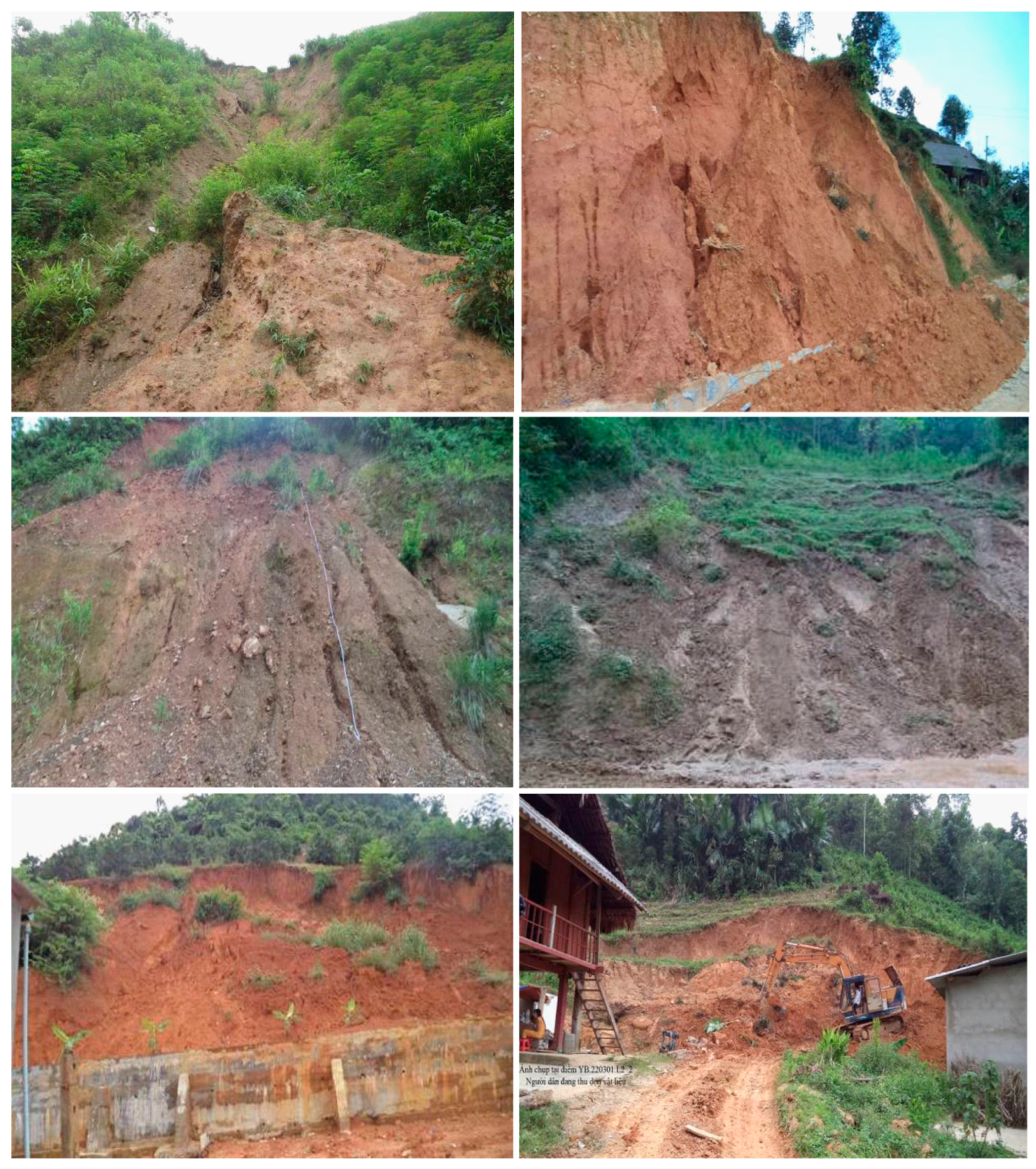 Forests 10 00157 g003