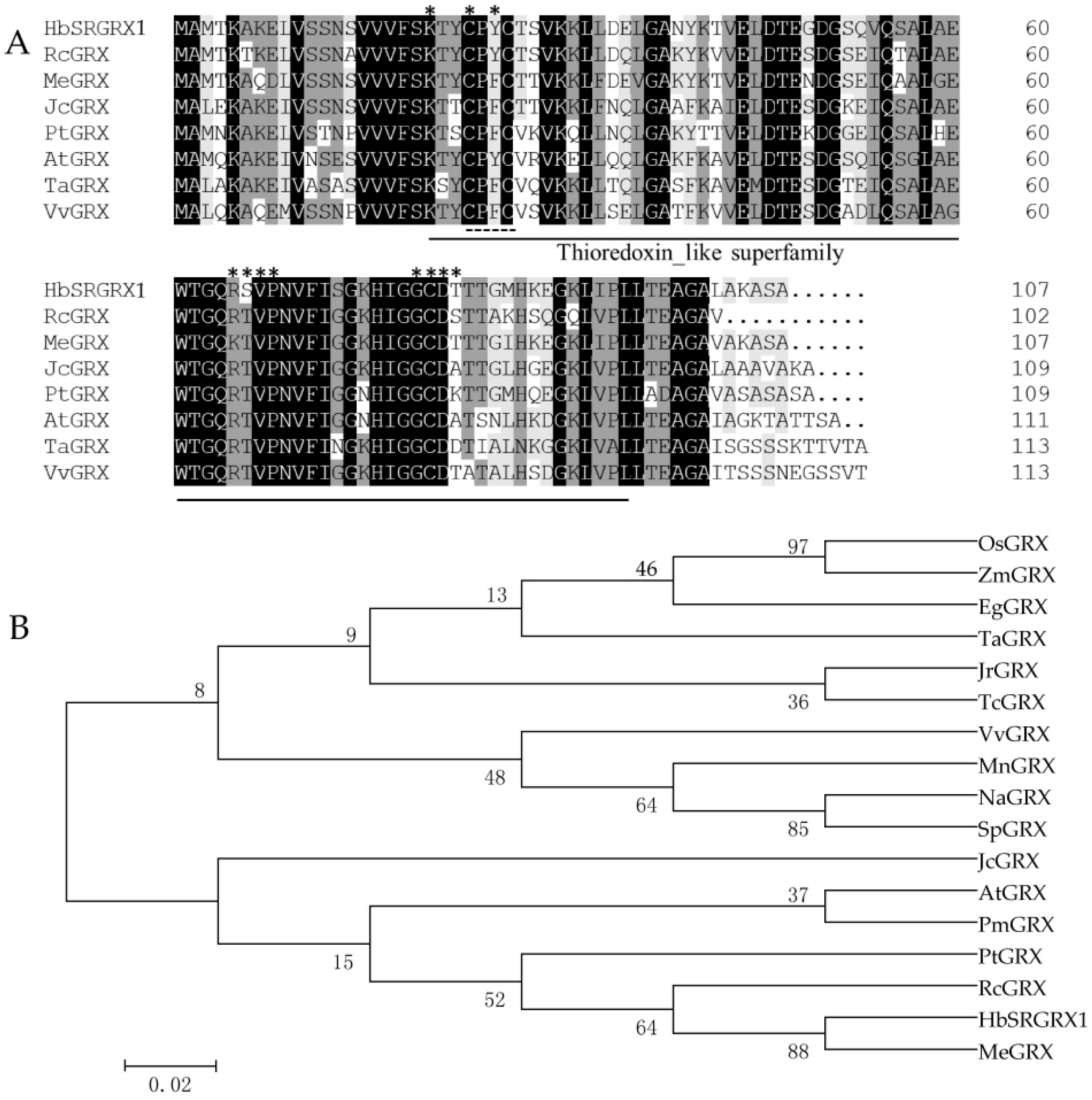 Forests 10 00158 g001