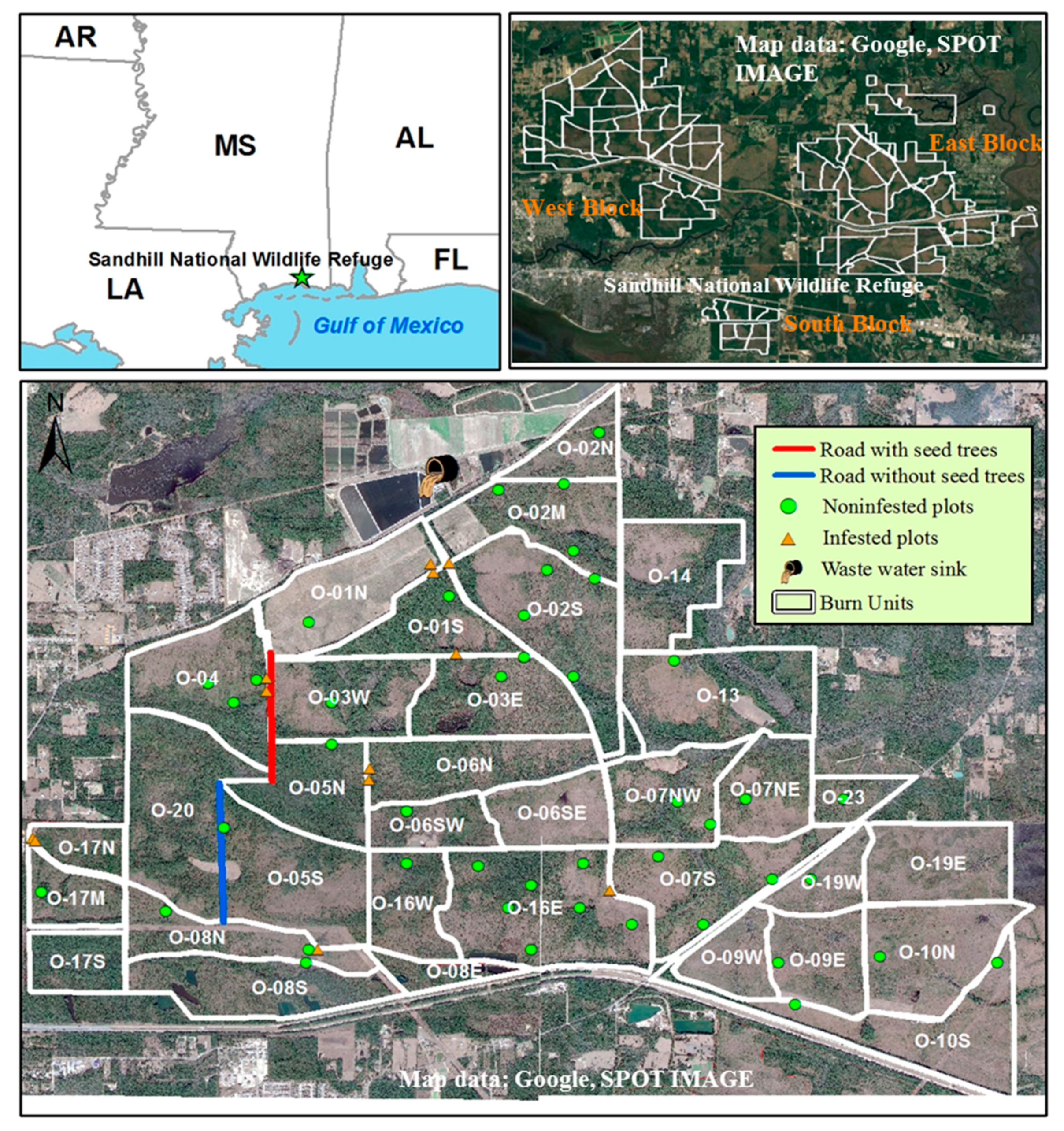 Forests 10 00175 g001