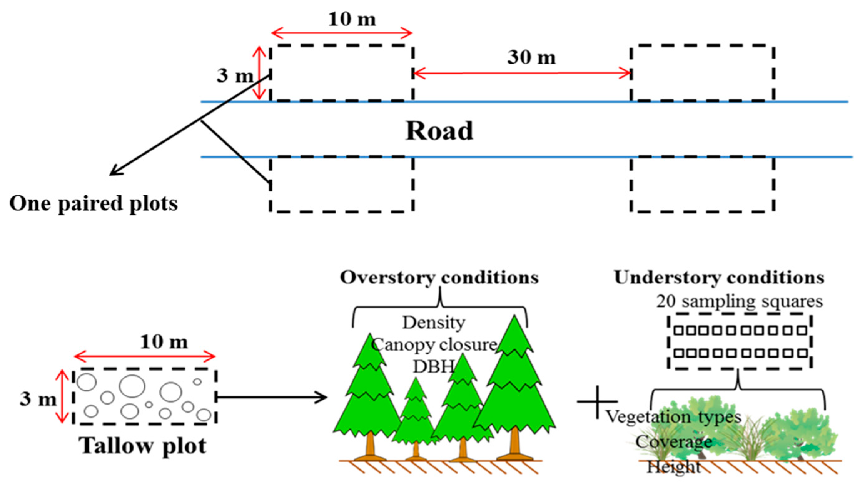 Forests 10 00175 g002