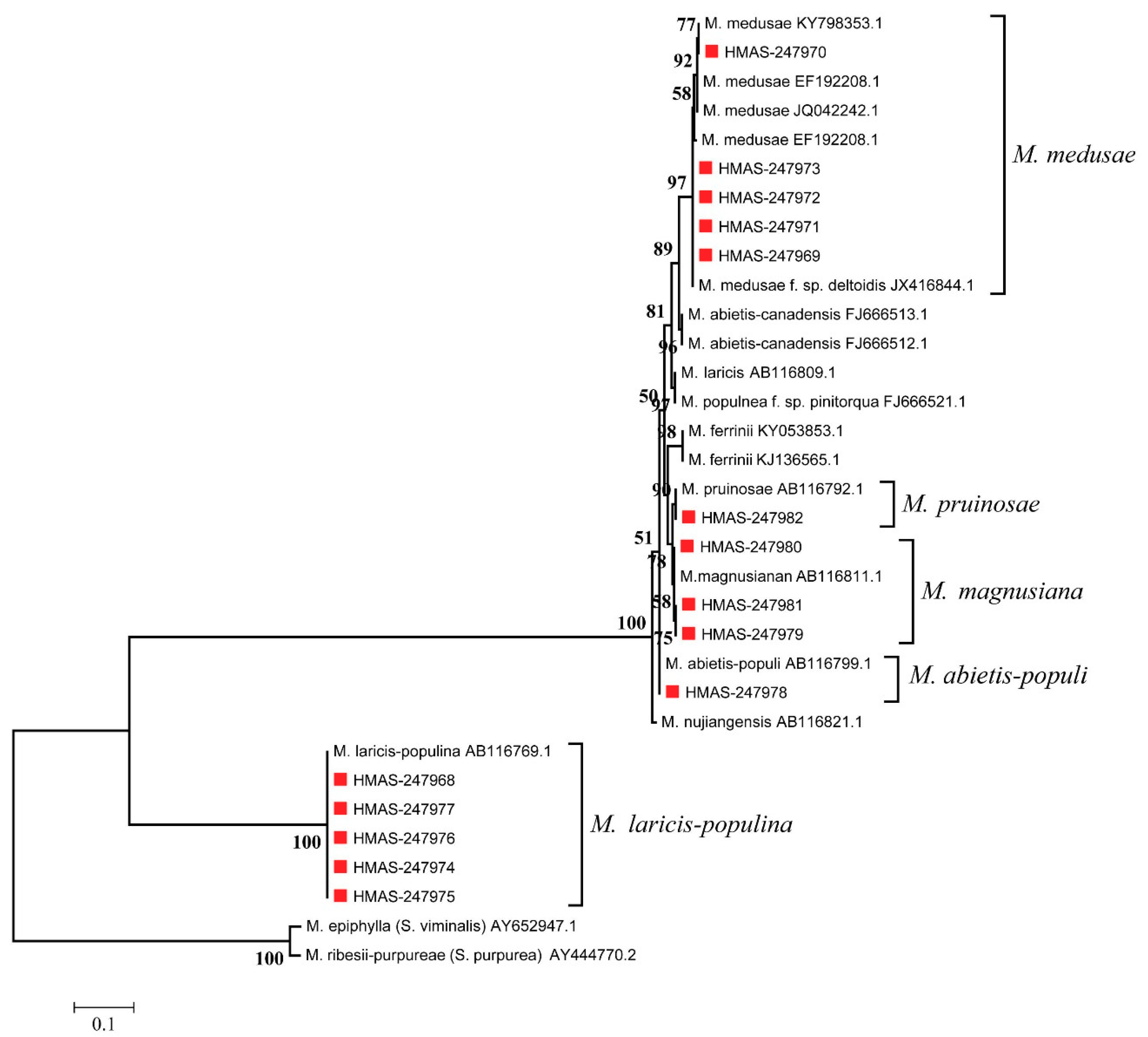 Forests 10 00182 g005