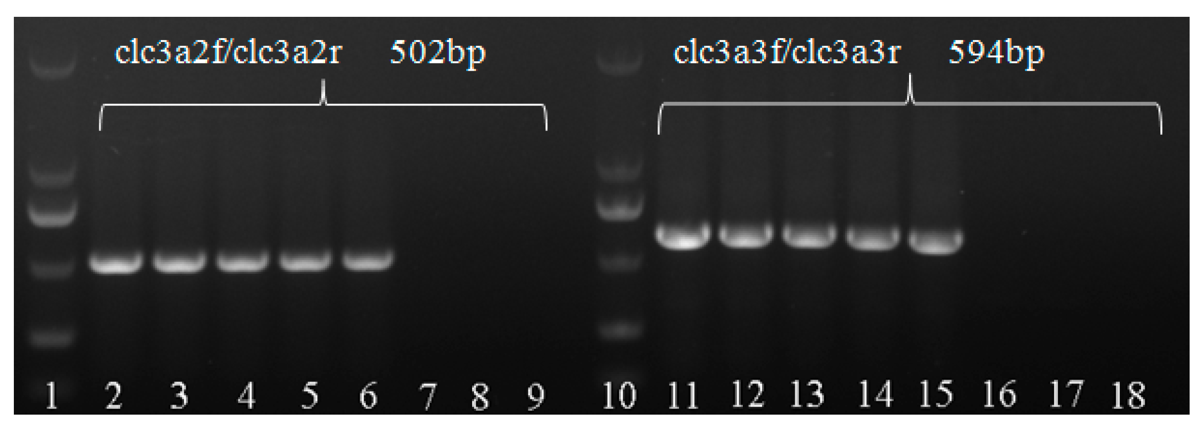 Forests 10 00182 g006