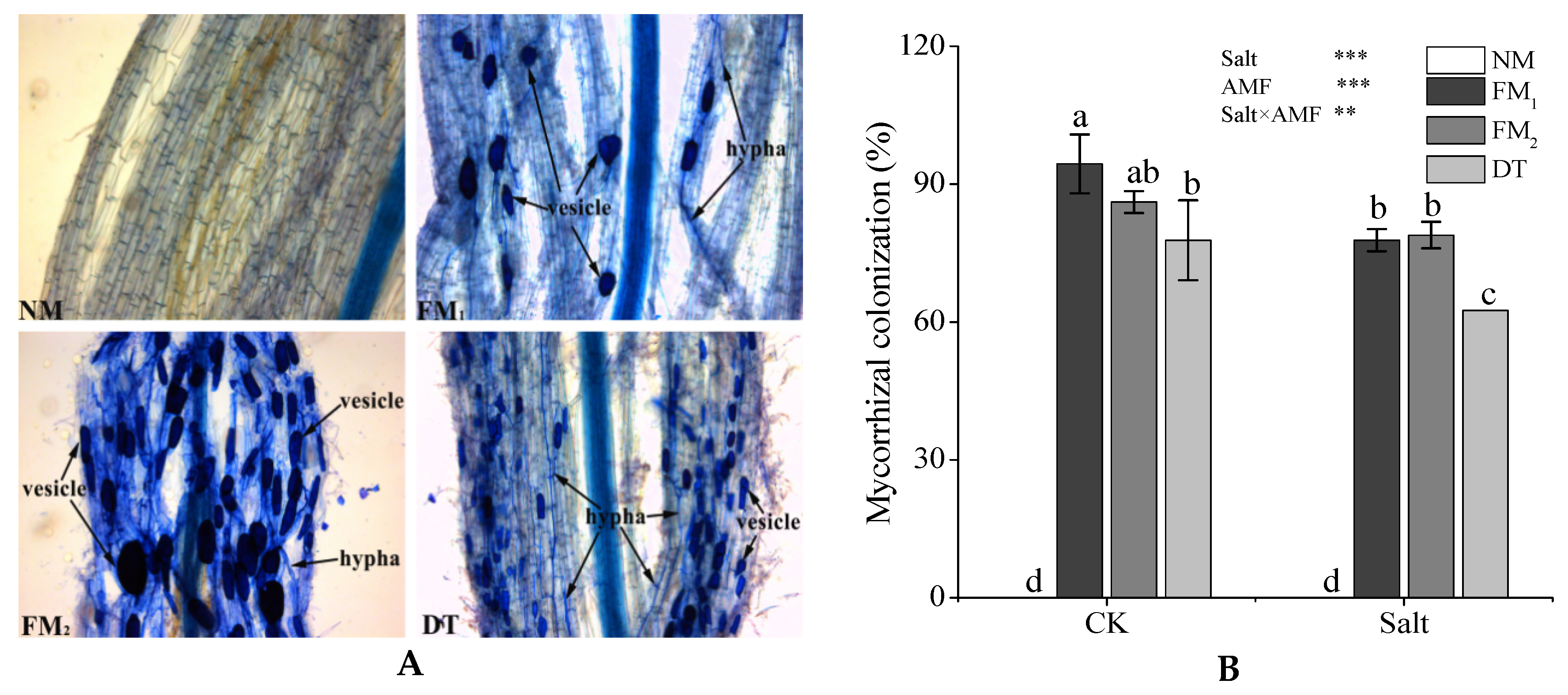 Forests 10 00186 g001