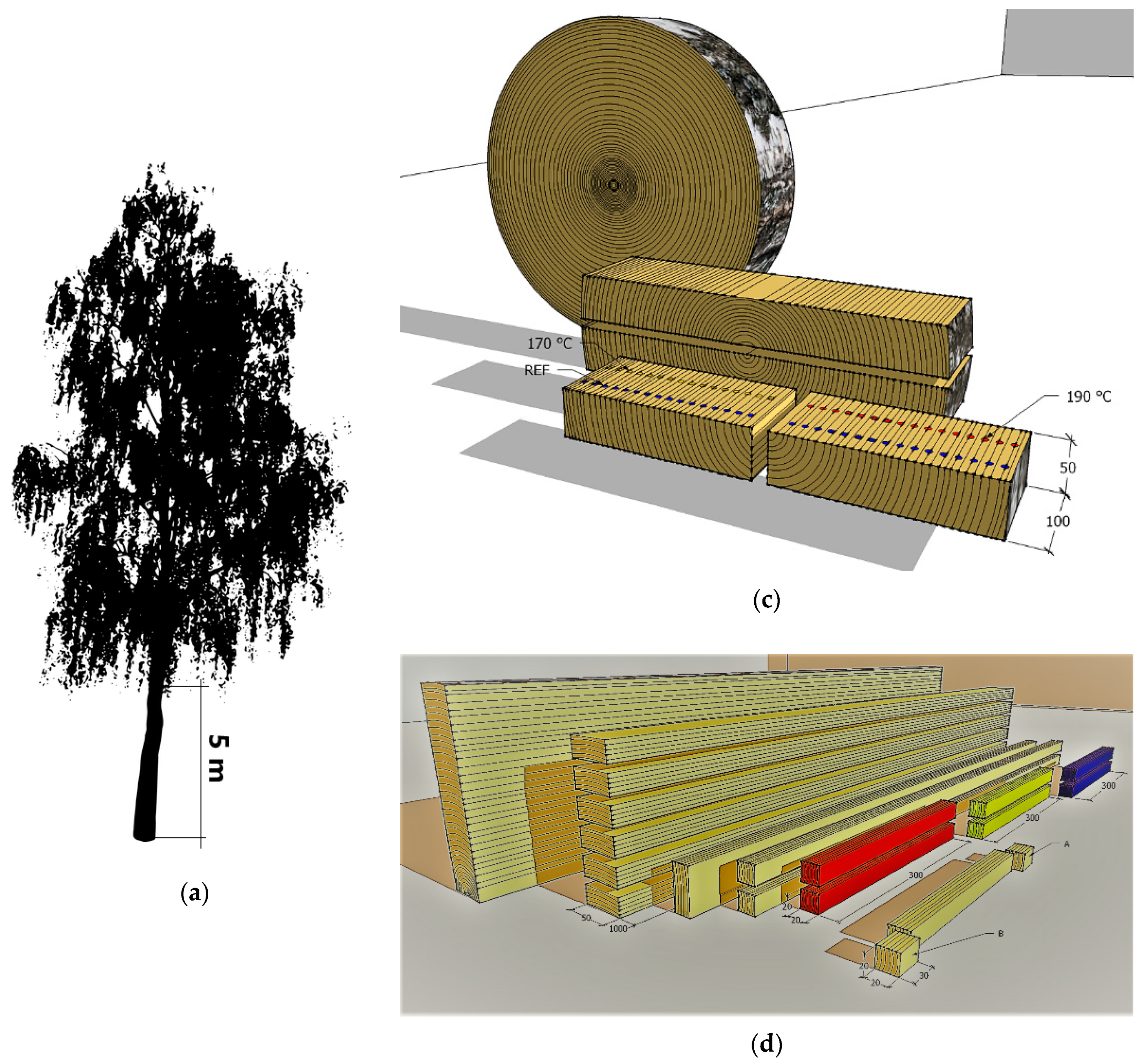 Forests 10 00189 g002b
