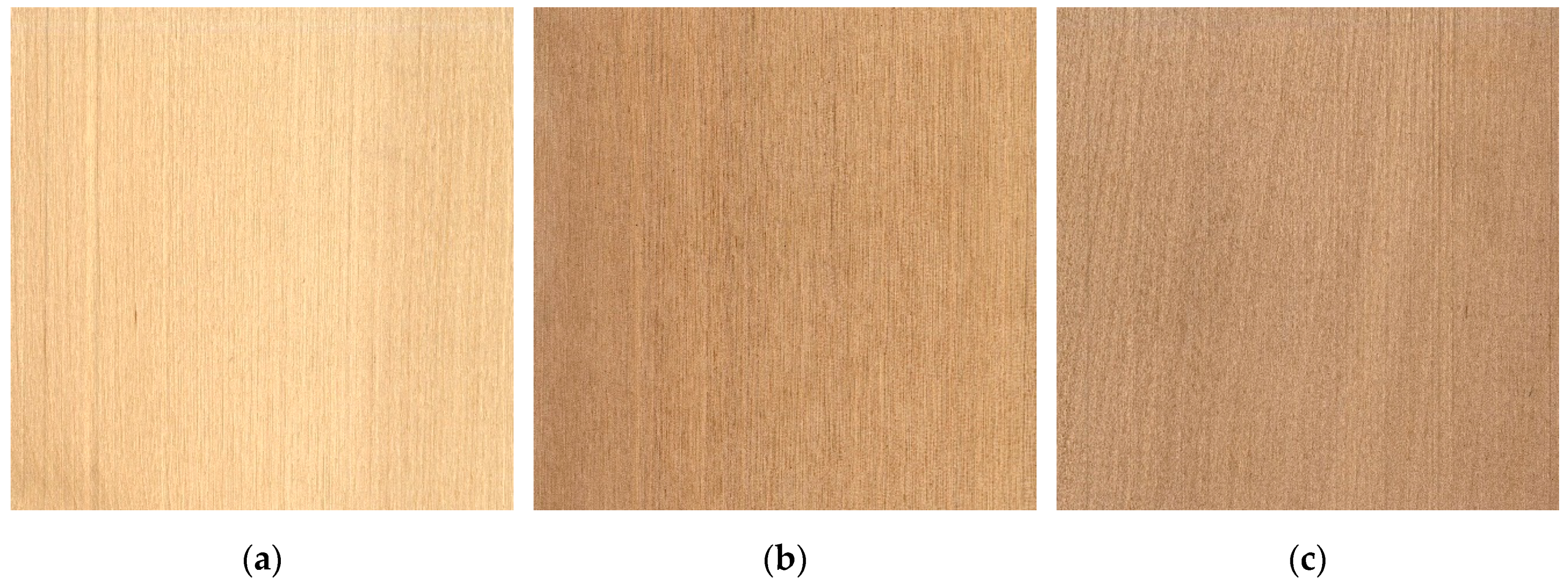 Forests 10 00189 g006a