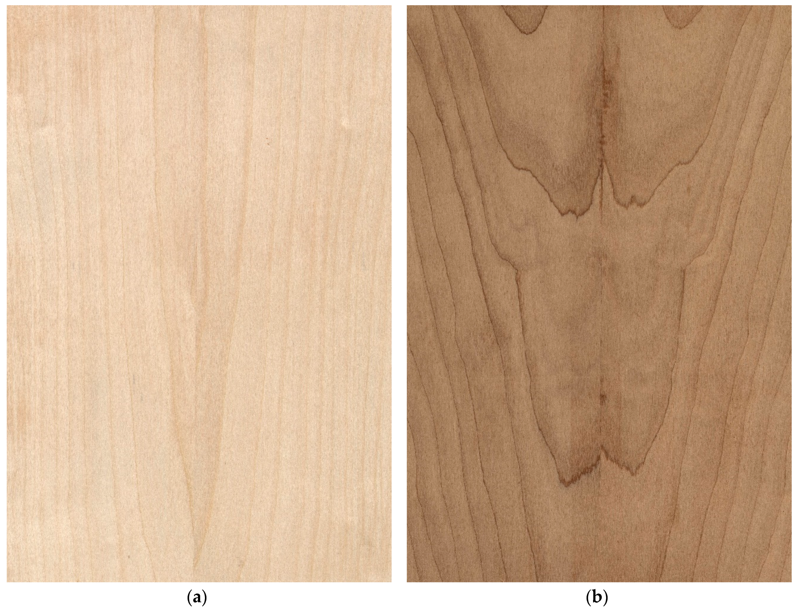 Forests 10 00189 g012