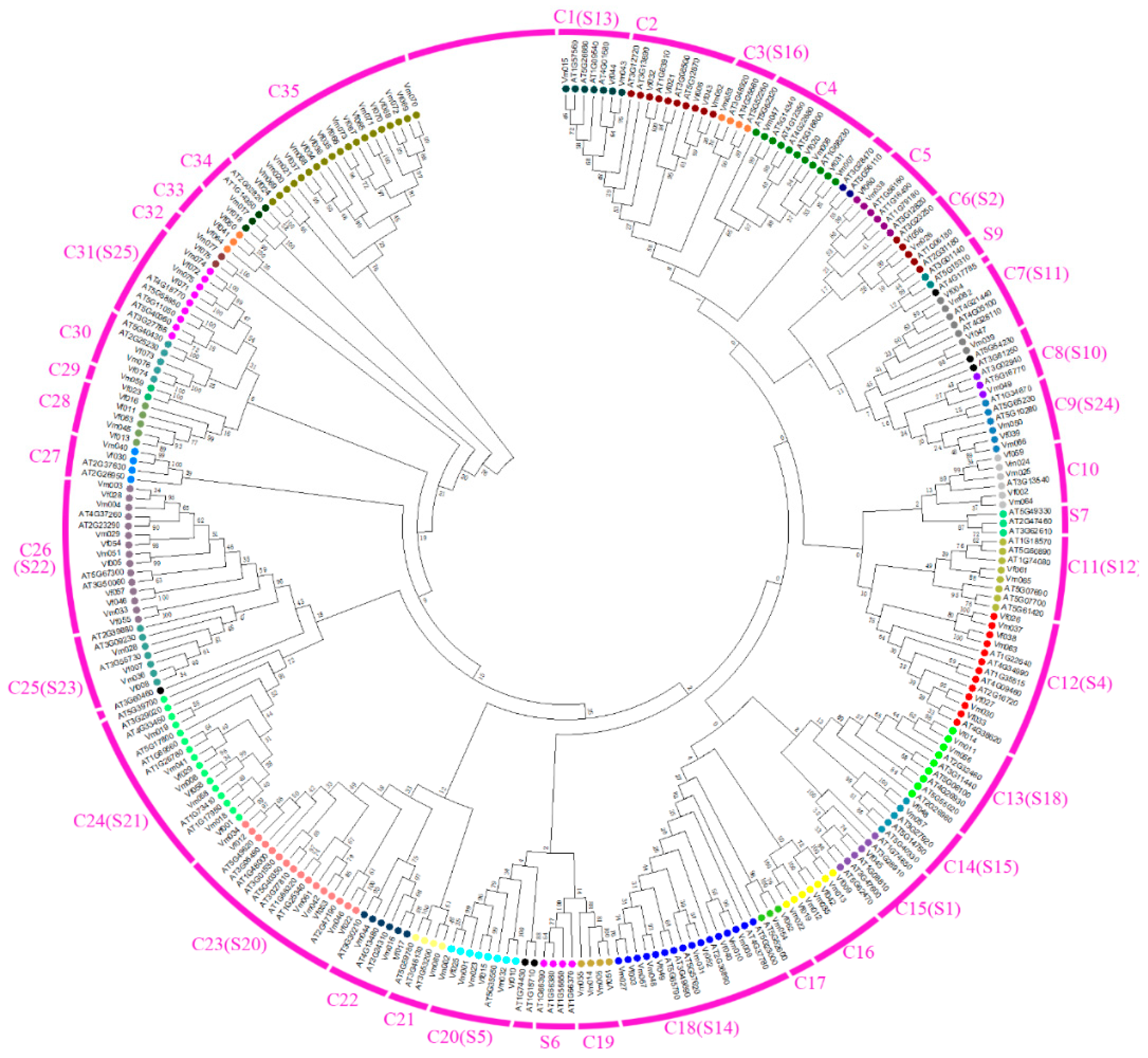 Forests 10 00193 g002