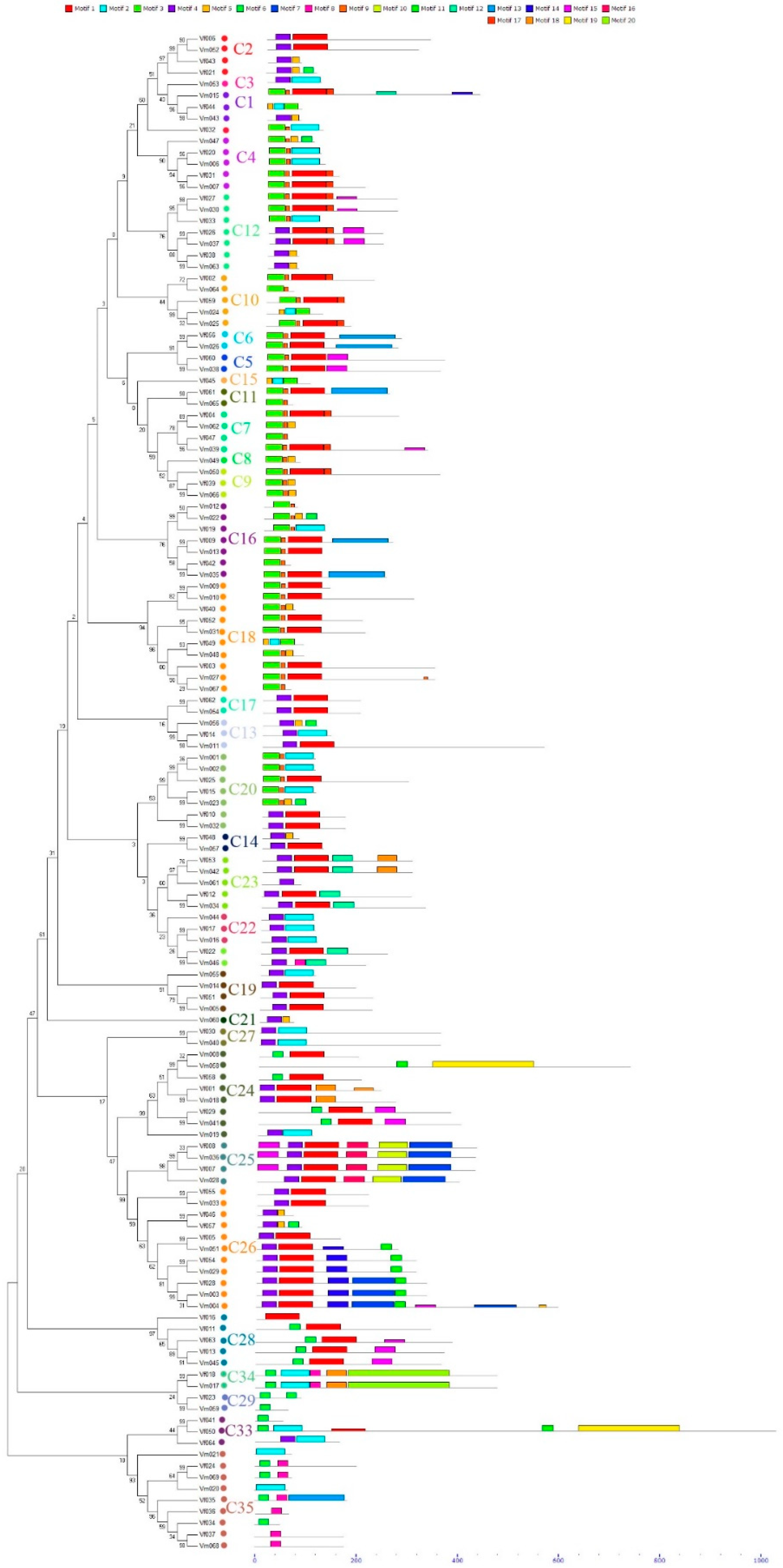 Forests 10 00193 g003
