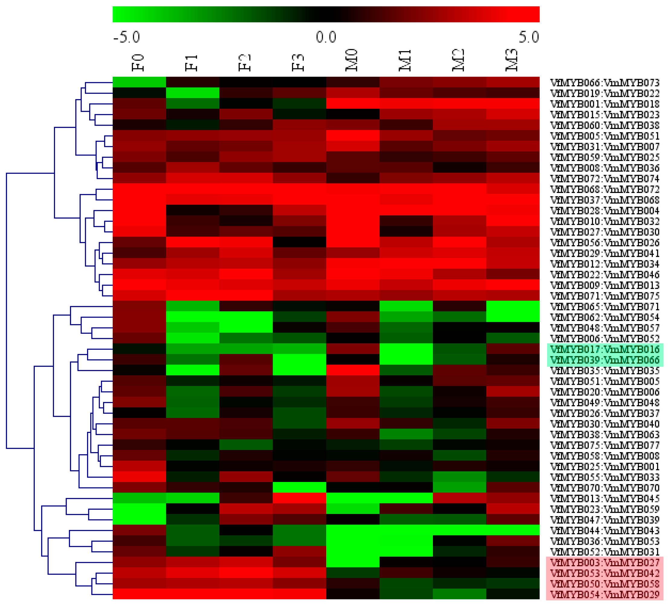Forests 10 00193 g004