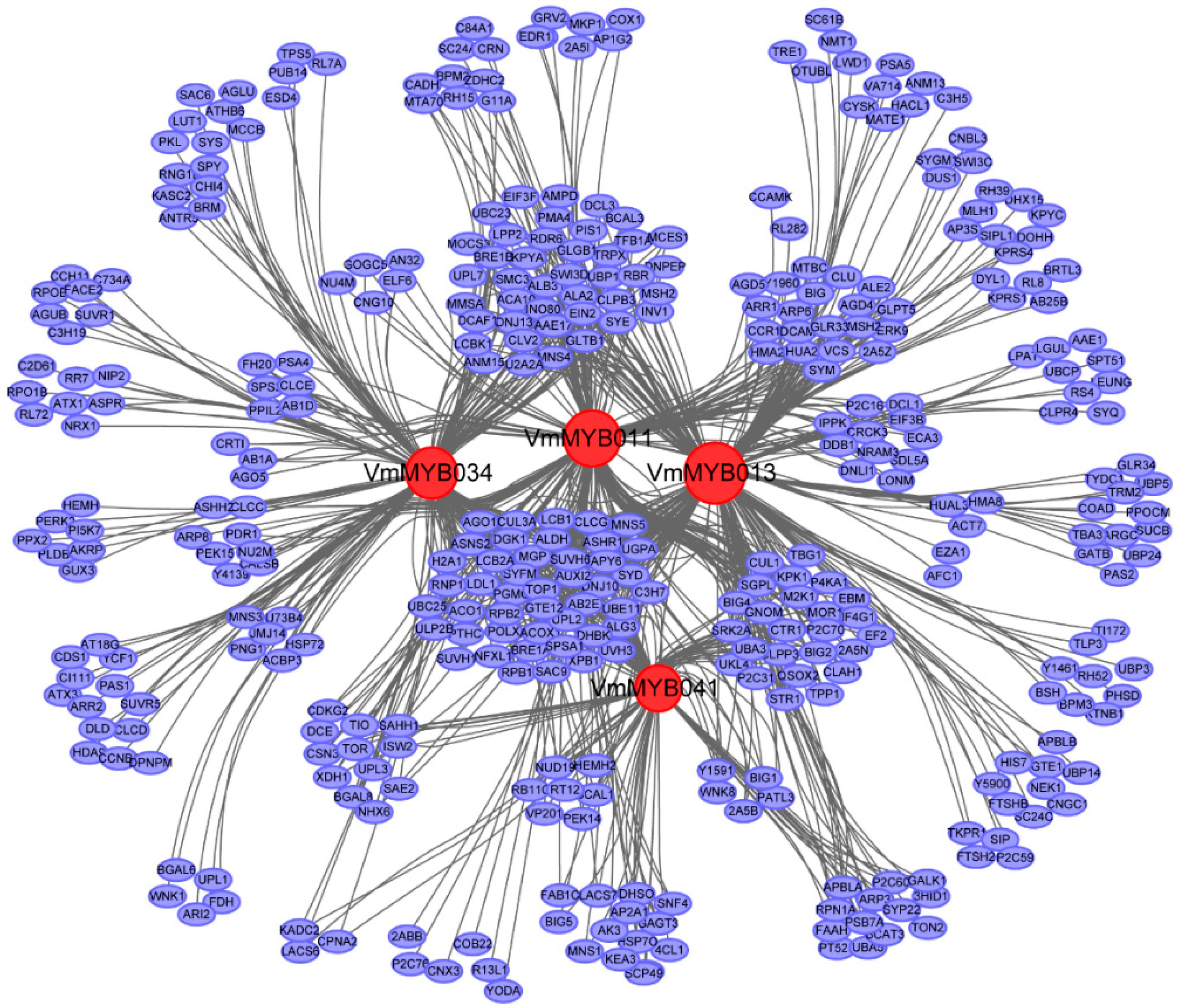 Forests 10 00193 g005