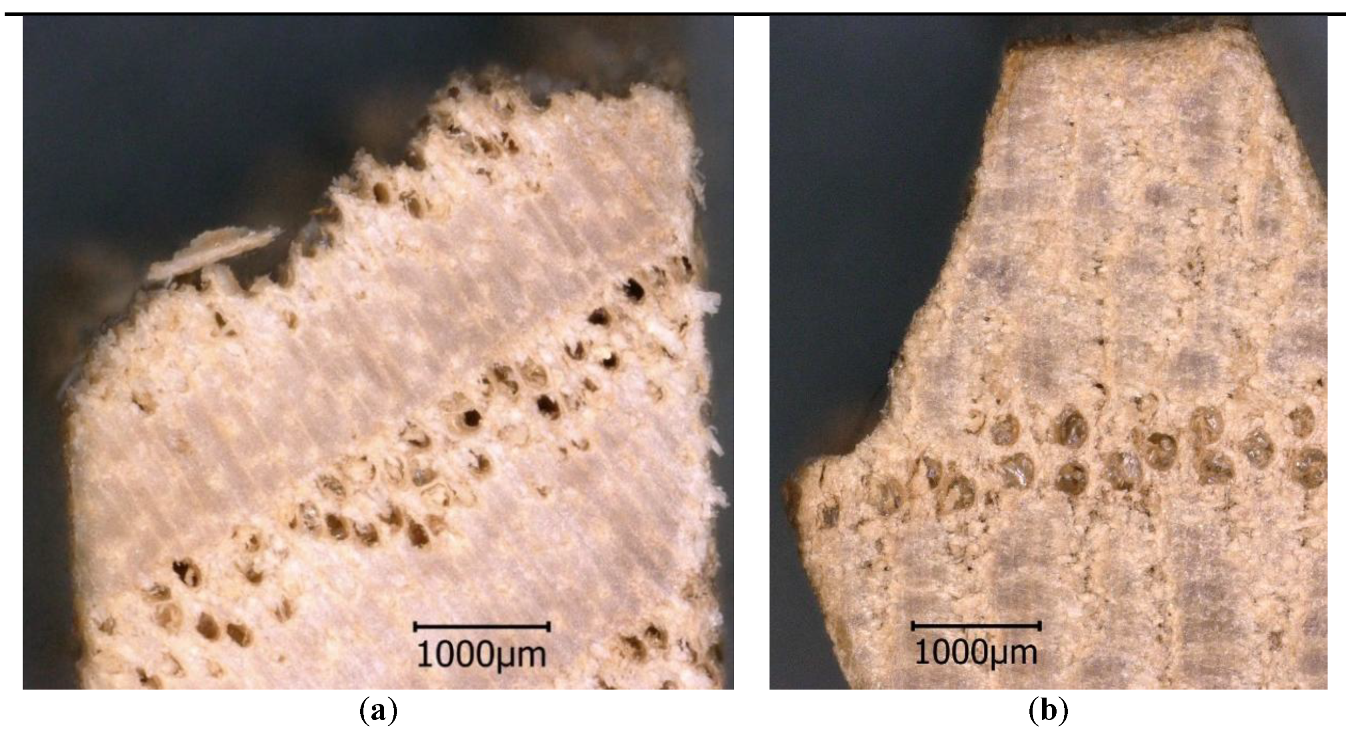 Forests 10 00199 g003