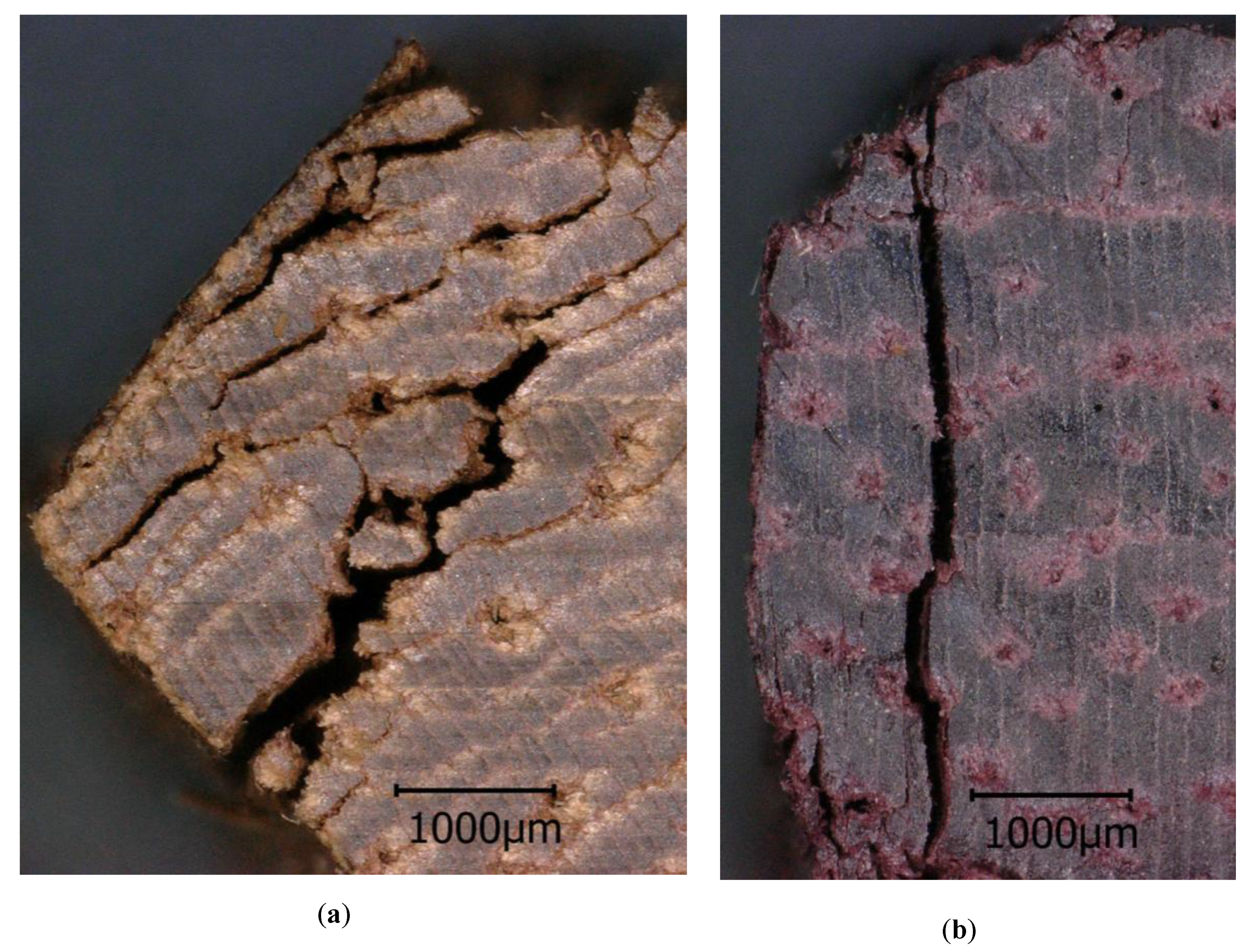 Forests 10 00199 g007