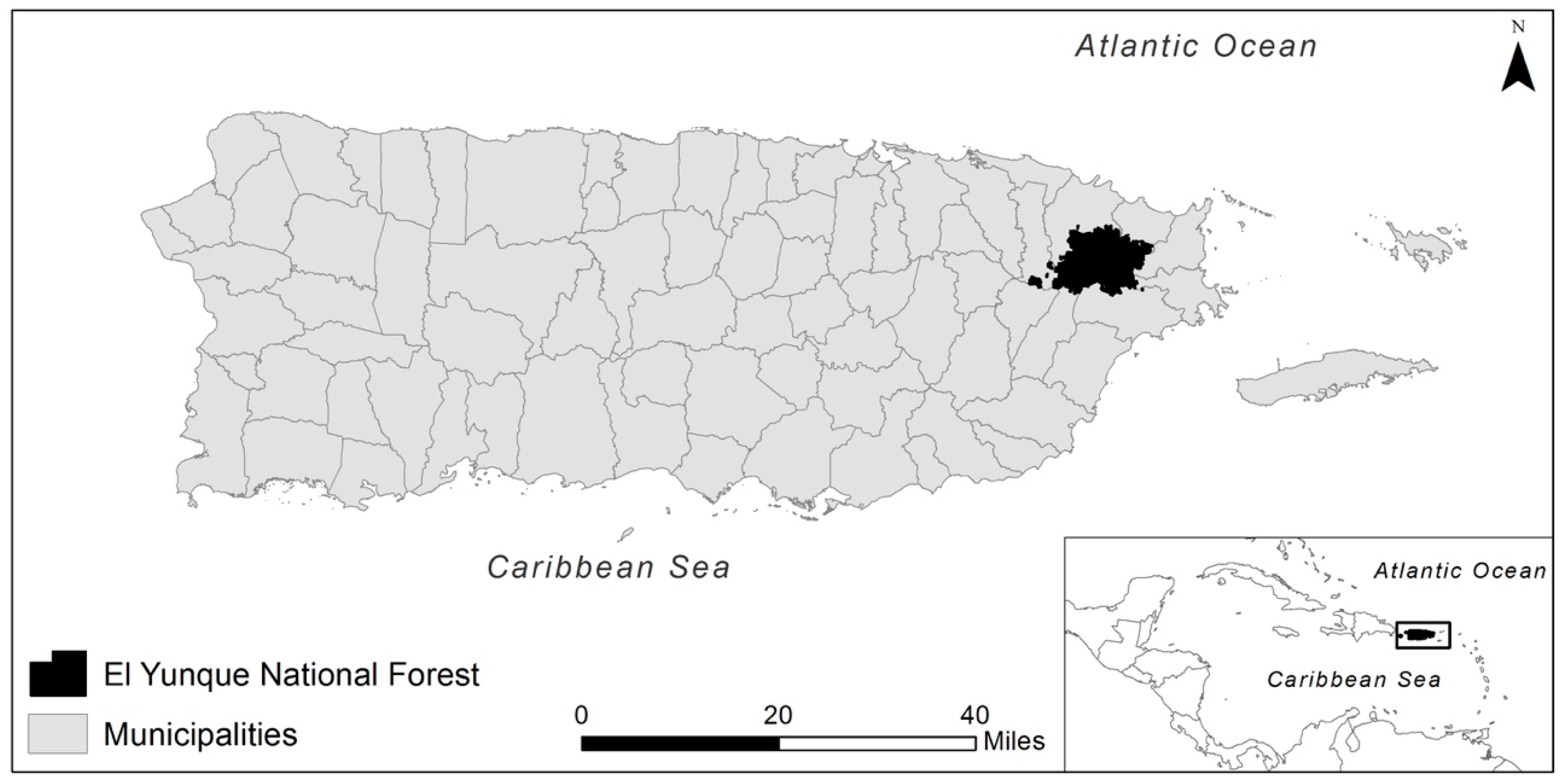 Forests 10 00210 g001