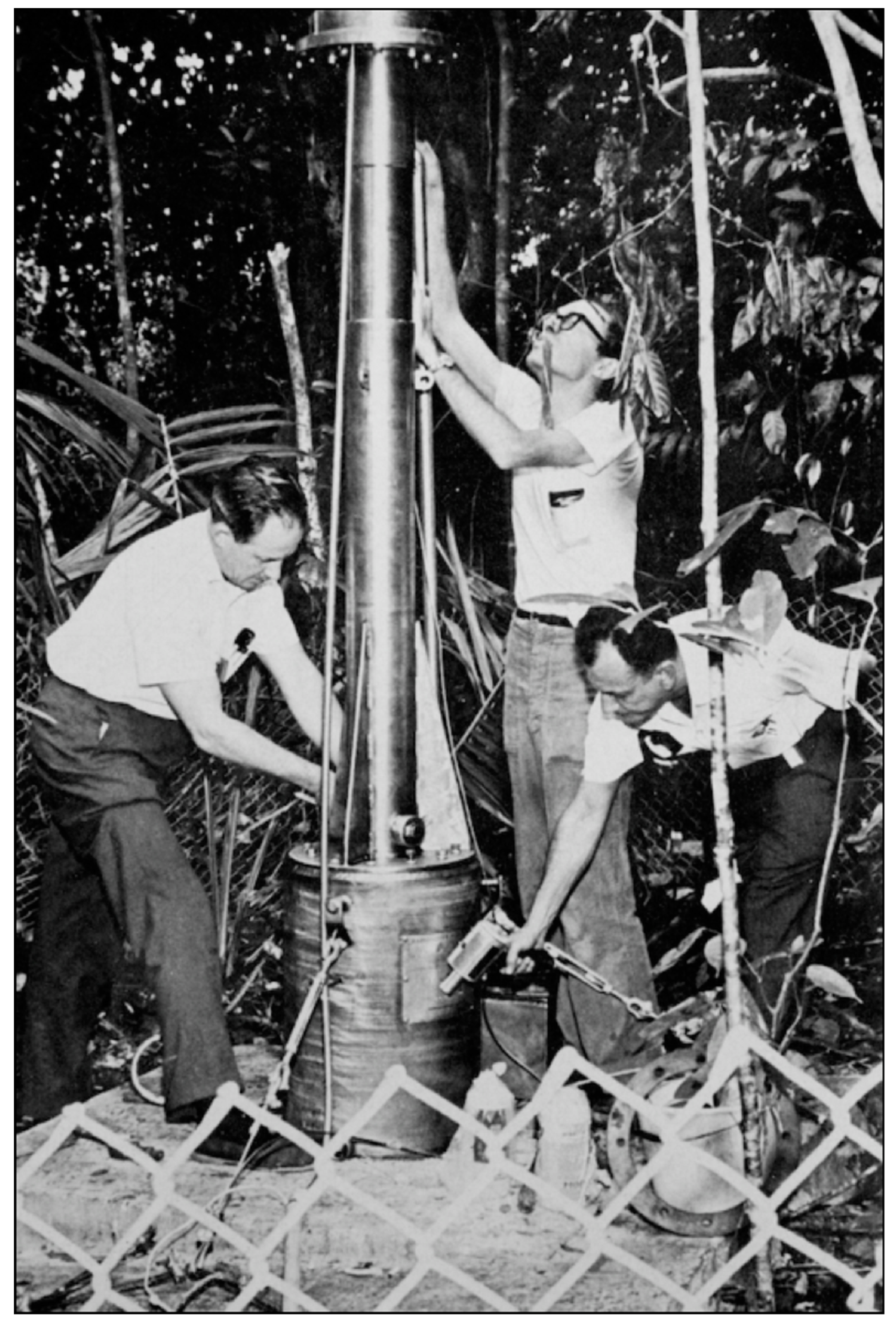 Forests 10 00210 g002