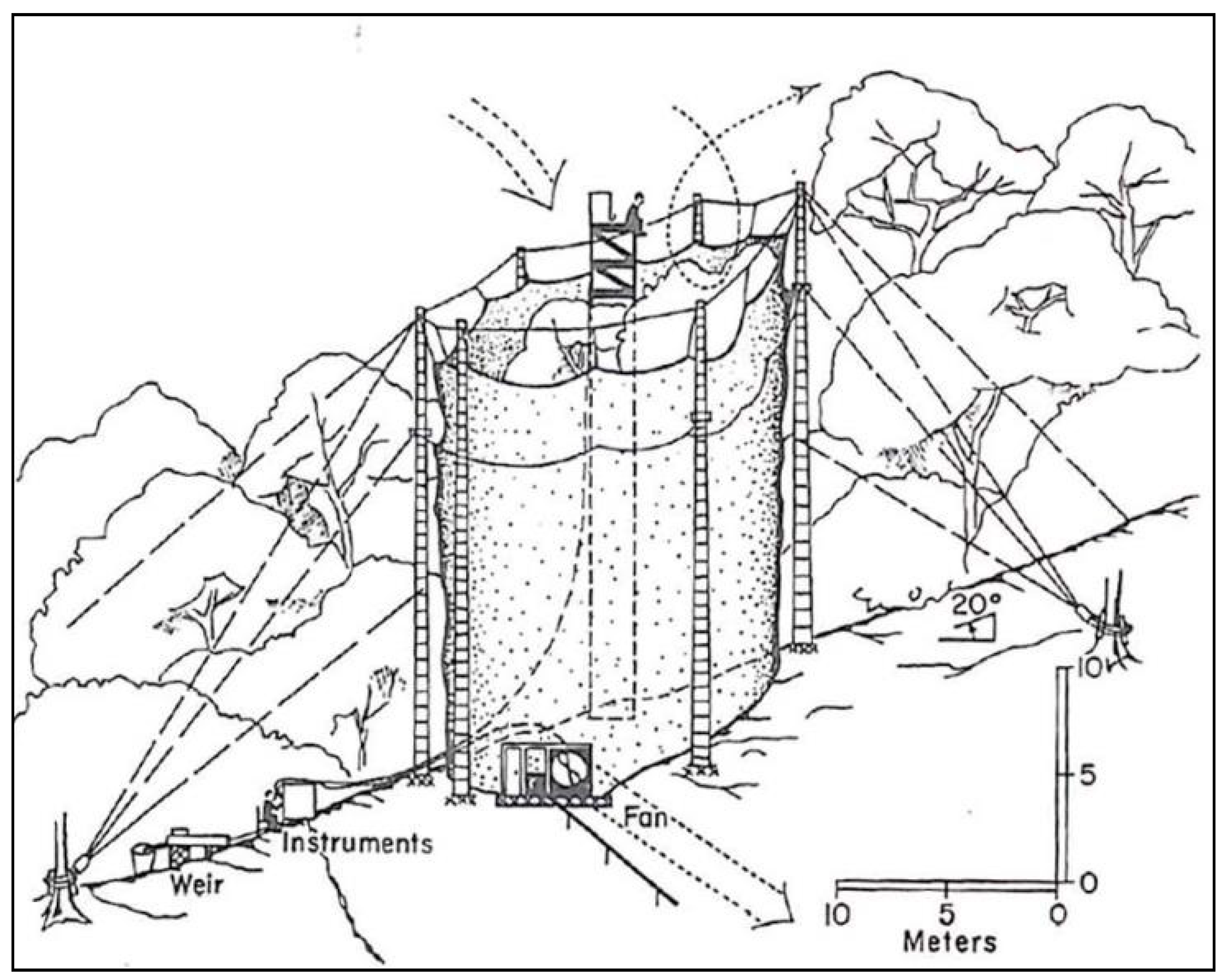 Forests 10 00210 g004