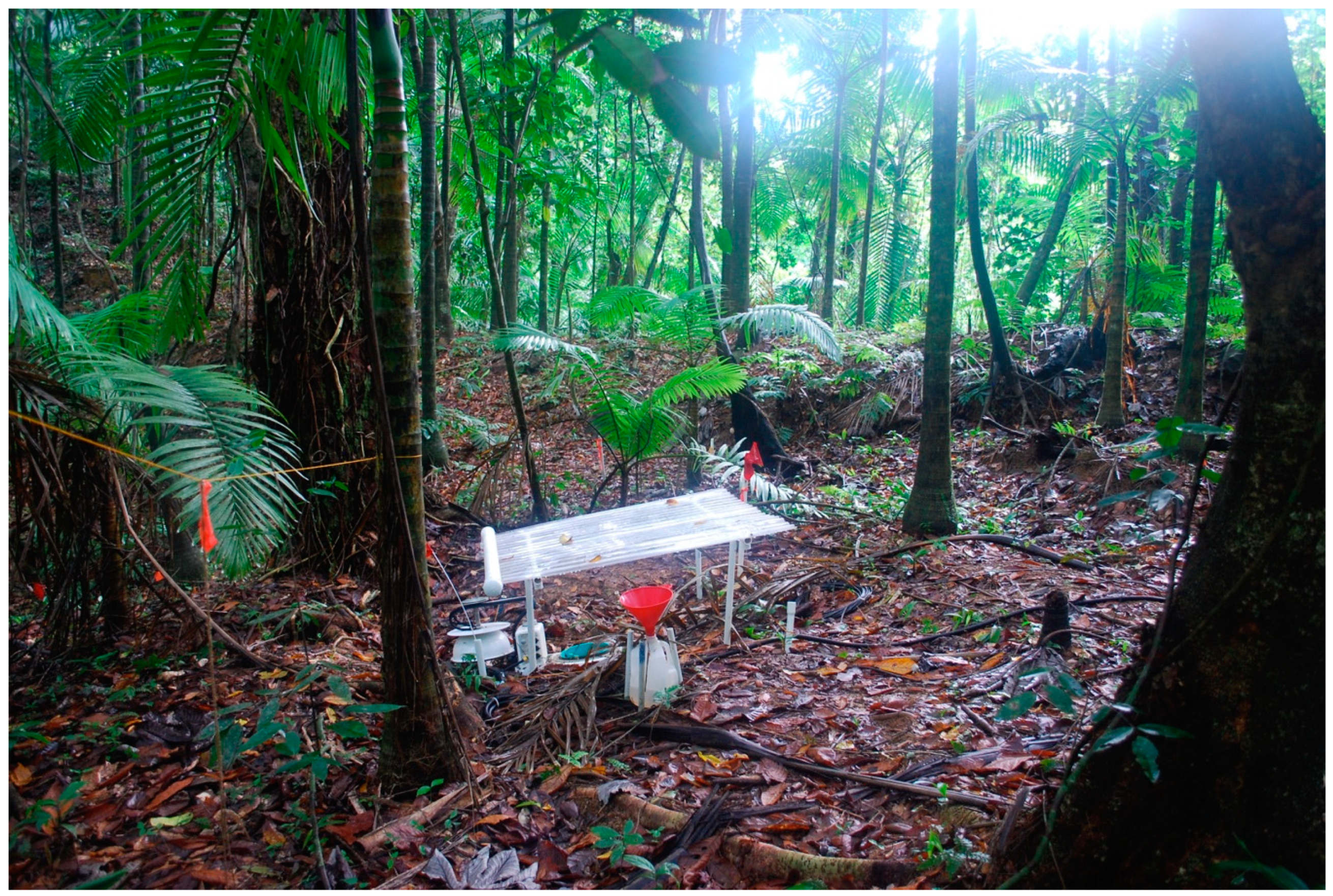 Forests 10 00210 g005