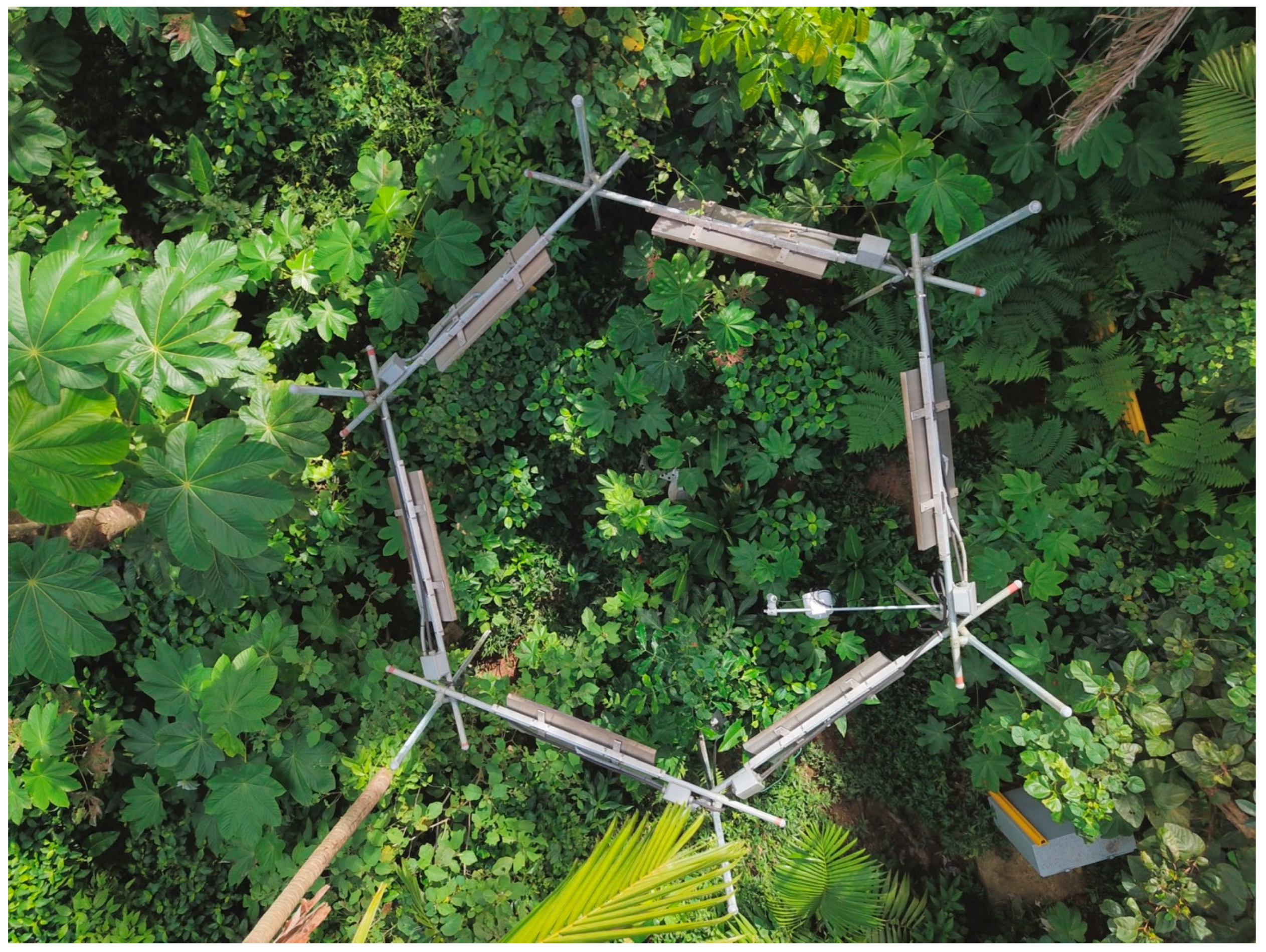 Forests 10 00210 g006