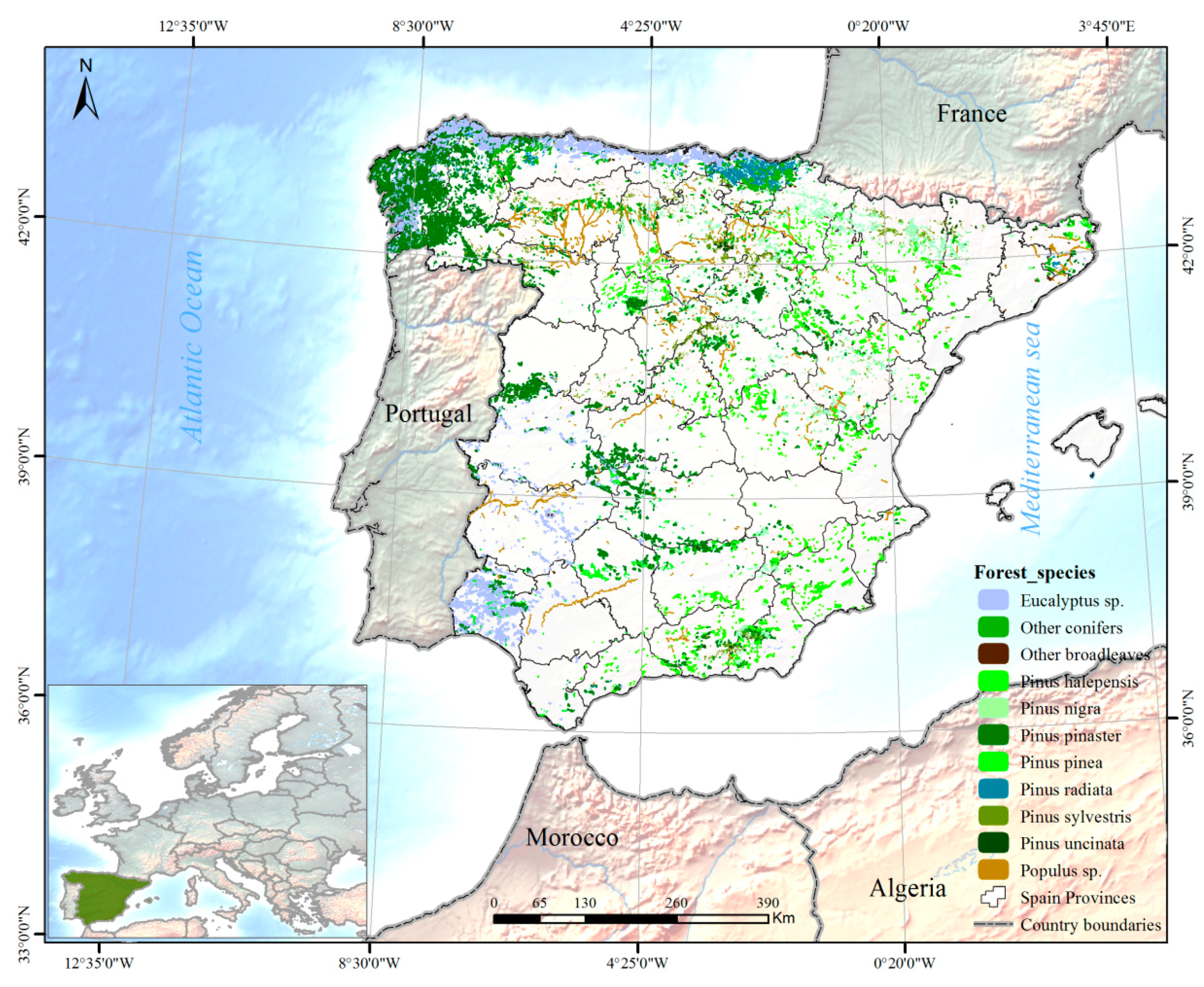 Forests 10 00229 g001