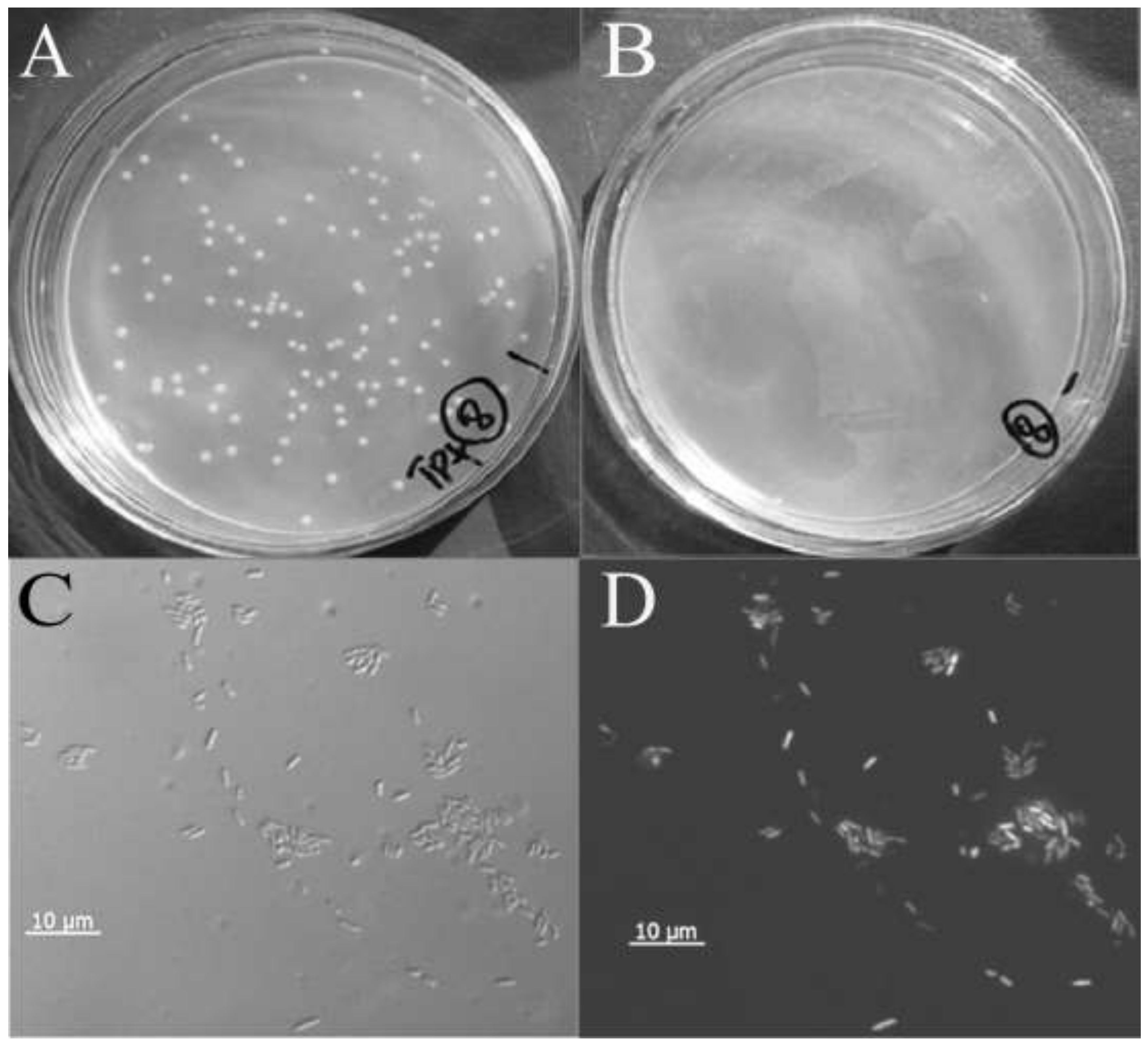 Forests 10 00231 g003