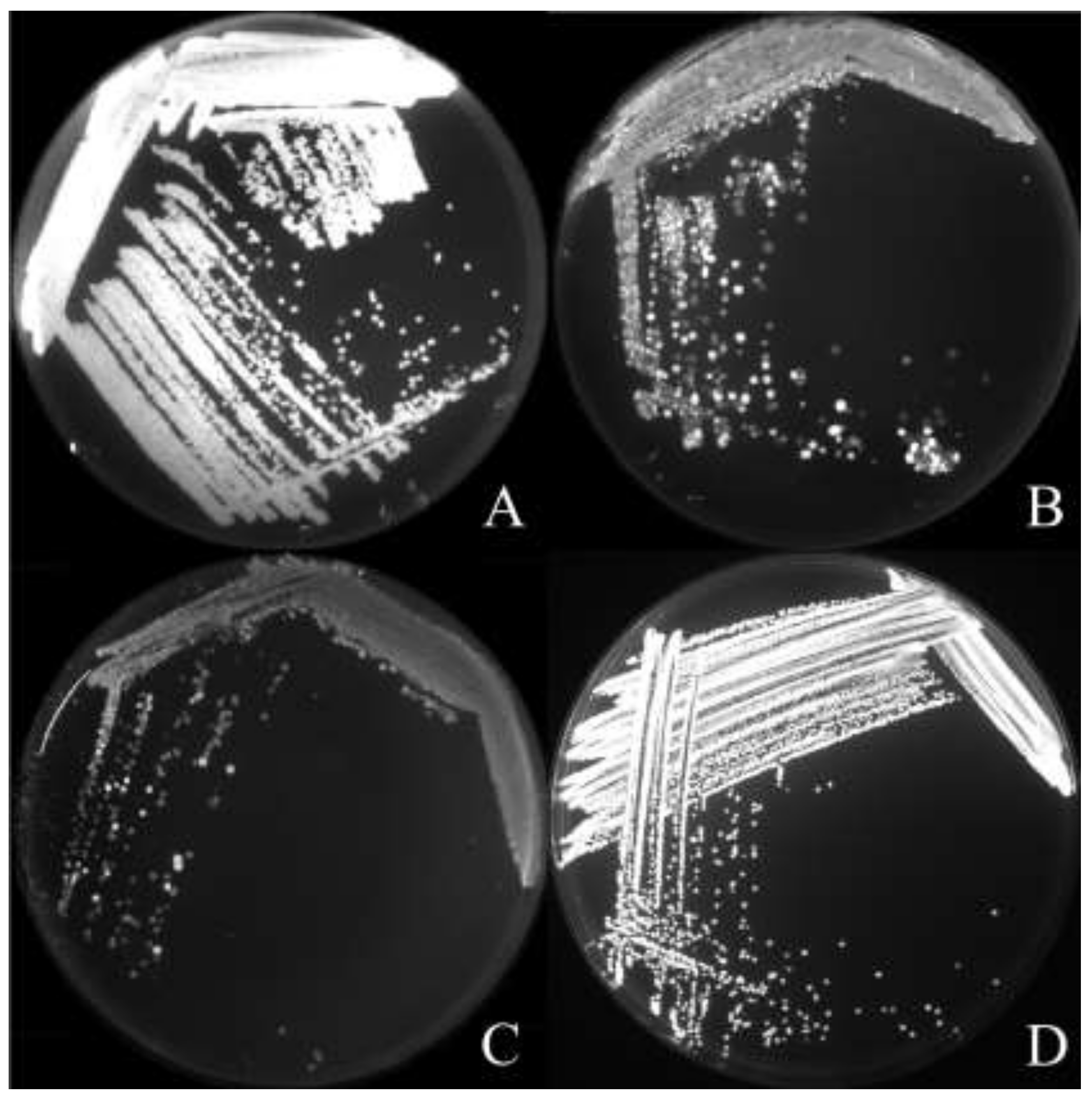 Forests 10 00231 g004