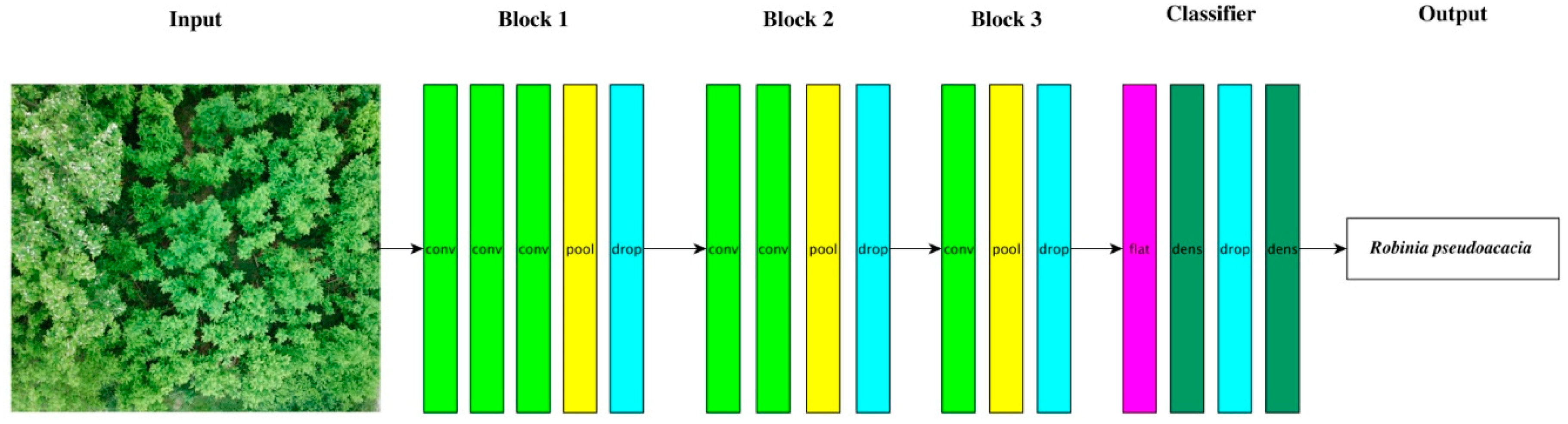 Forests 10 00235 g003