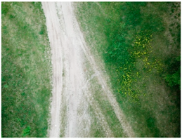 Forests 10 00235 i004 Forests 10 00235 i004