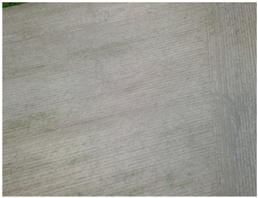 Forests 10 00235 i008 Forests 10 00235 i008