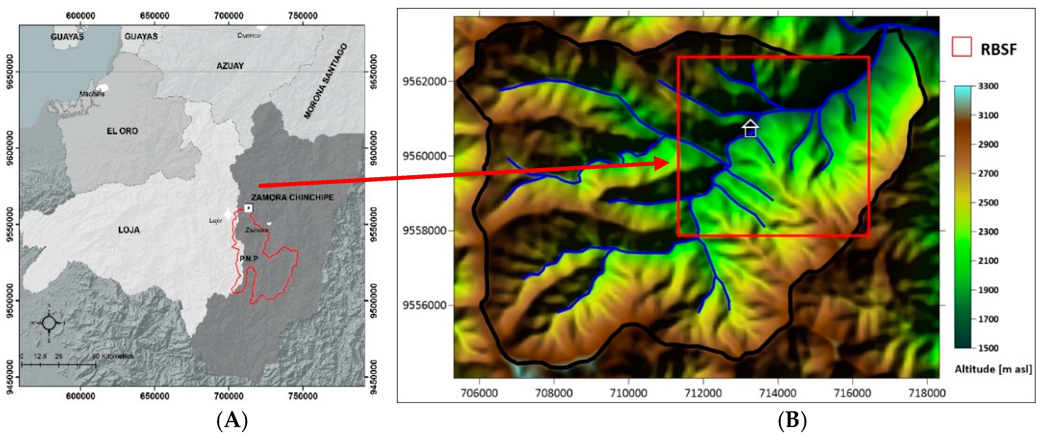 Forests 10 00254 g001 Forests 10 00254 g001