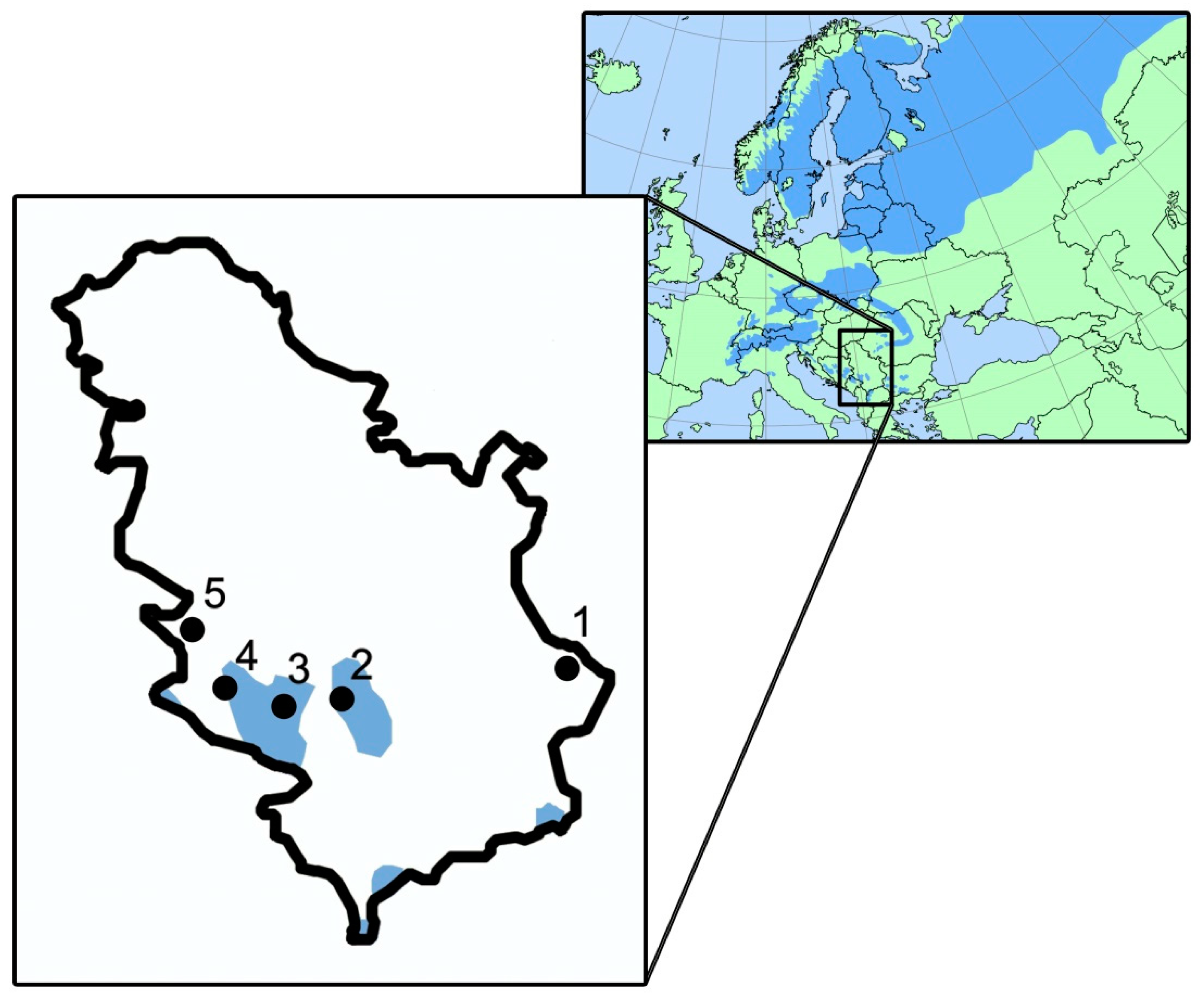 Forests 10 00258 g001