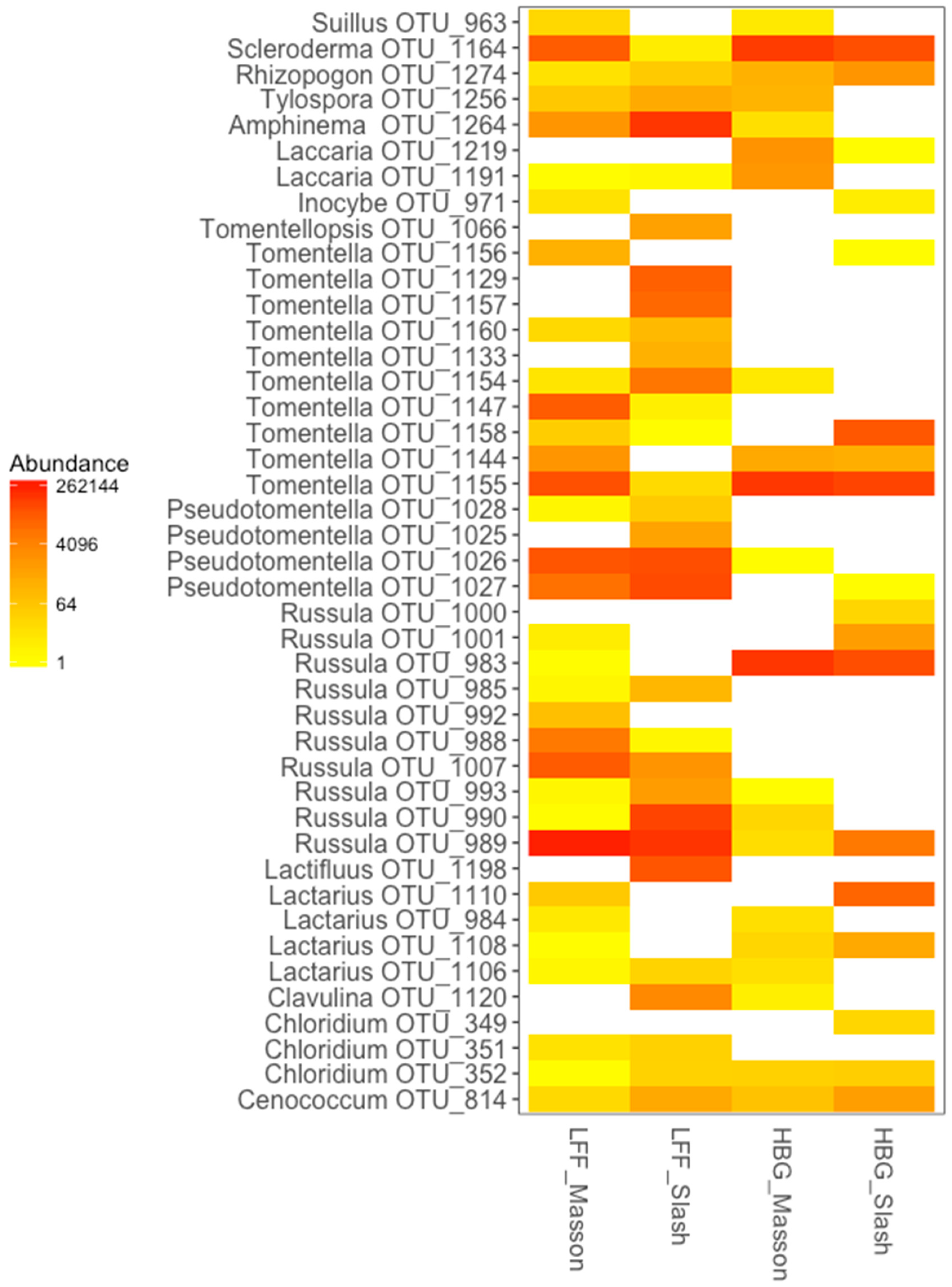 Forests 10 00263 g001