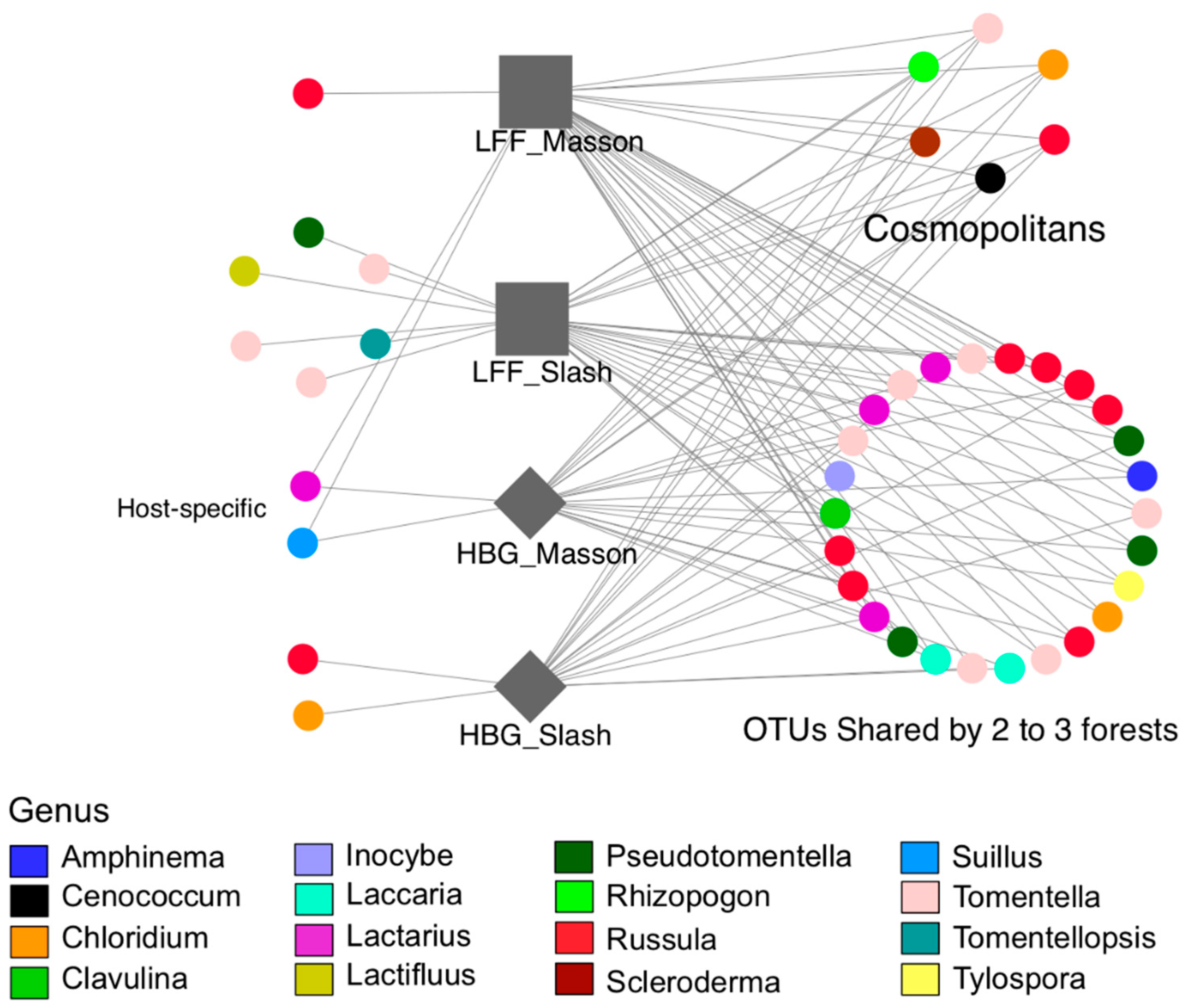 Forests 10 00263 g002