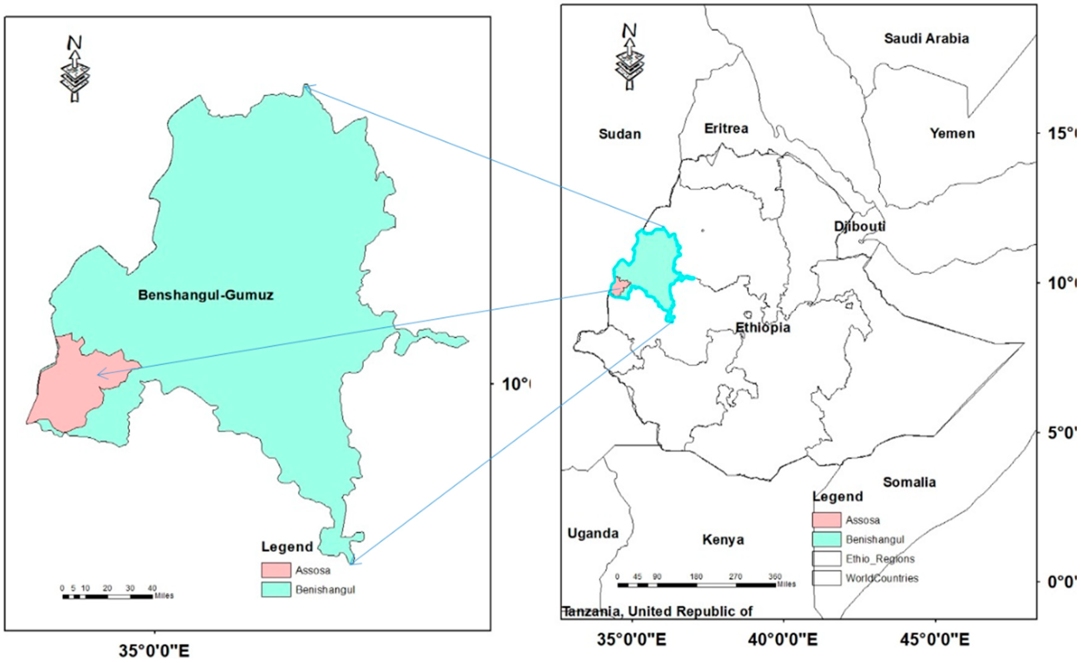Forests 10 00266 g001