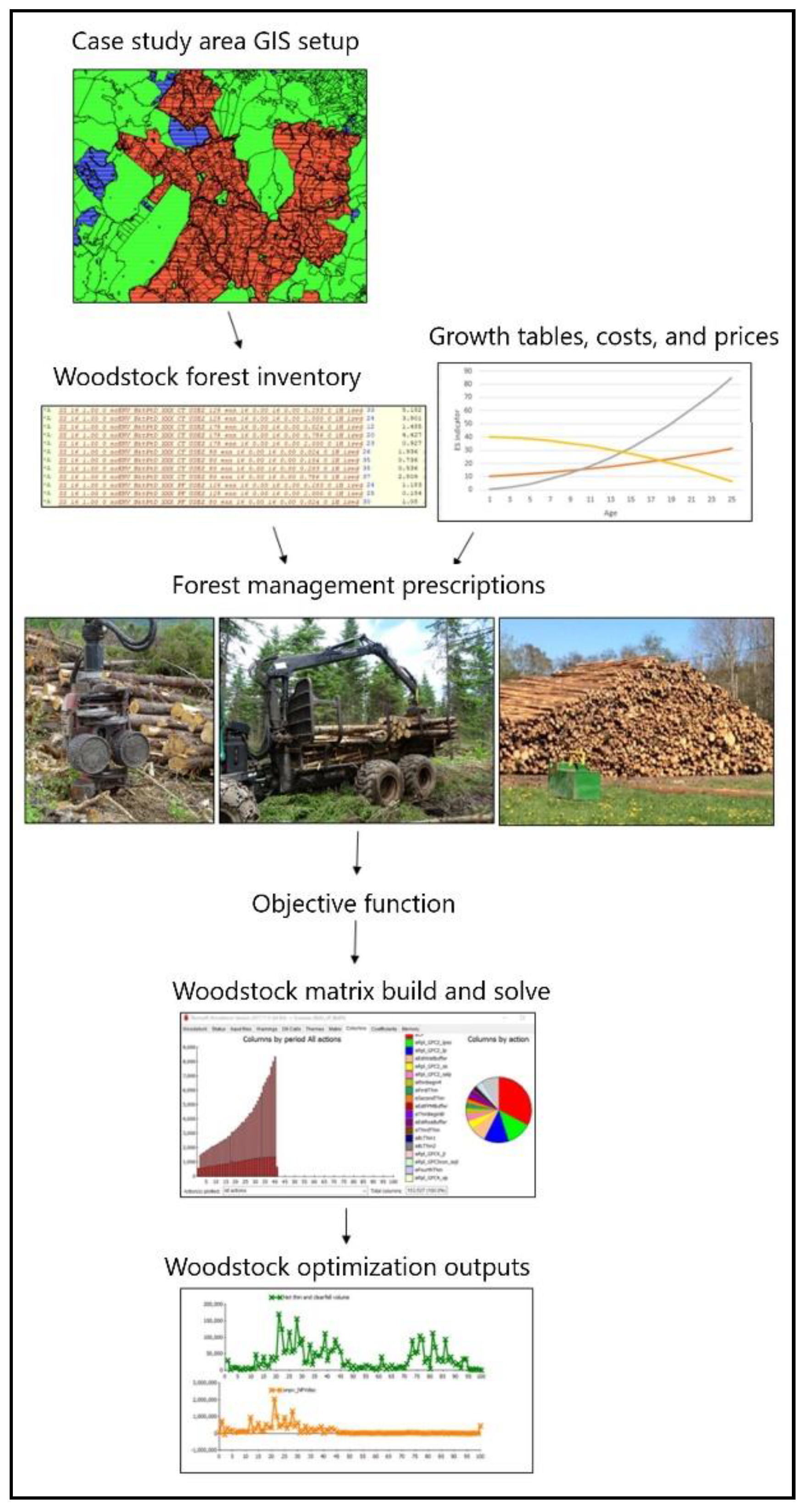 Forests 10 00270 g002 Forests 10 00270 g002