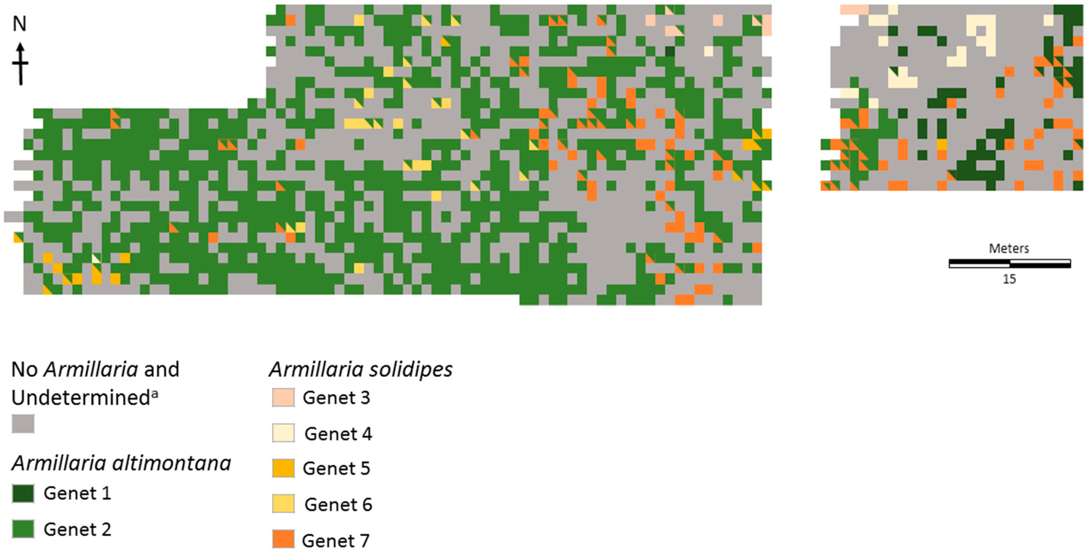 Forests 10 00294 g001