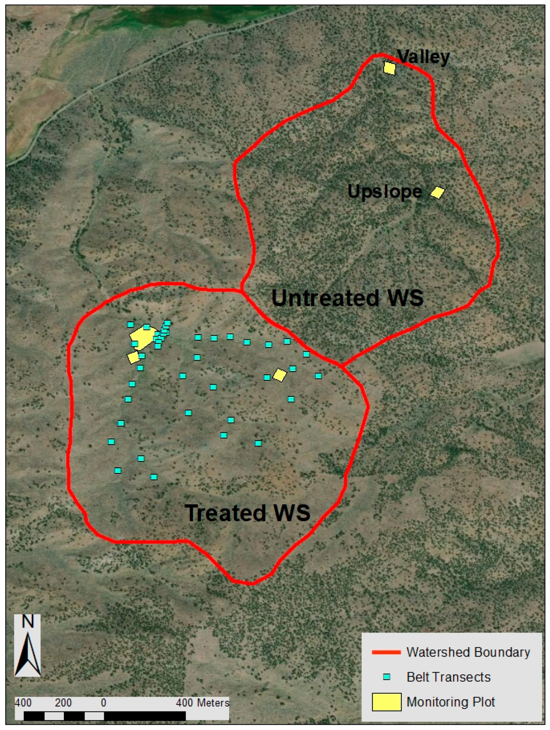 Forests 10 00296 g001