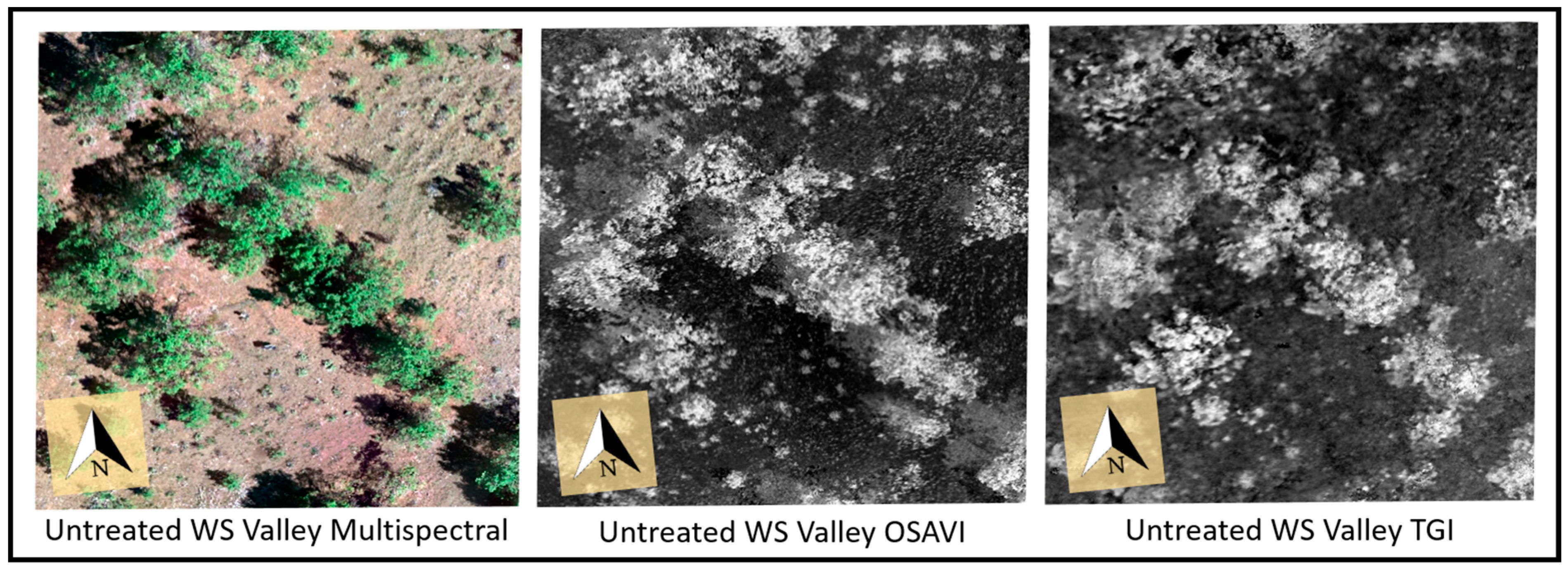 Forests 10 00296 g003