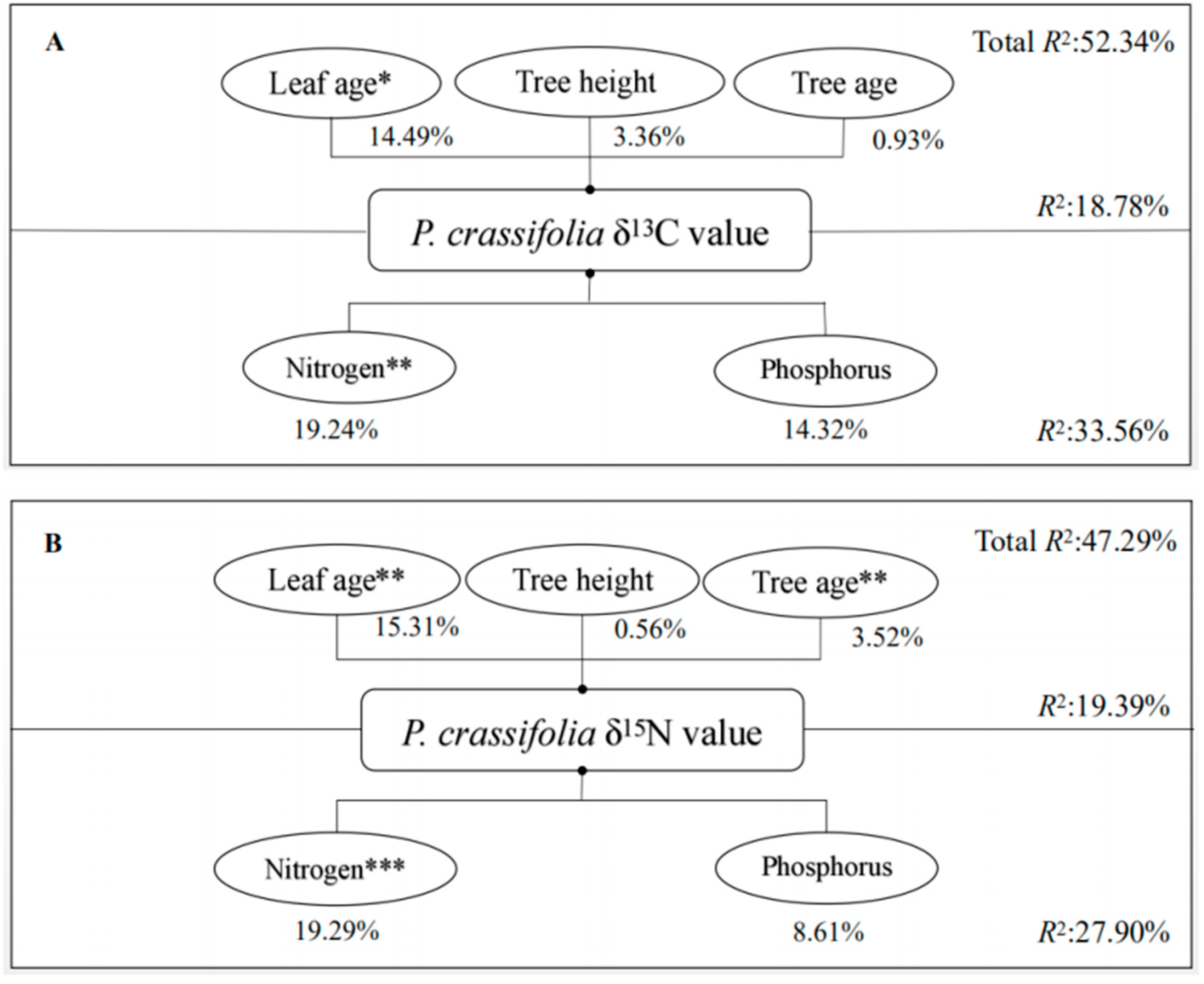 Forests 10 00310 g004