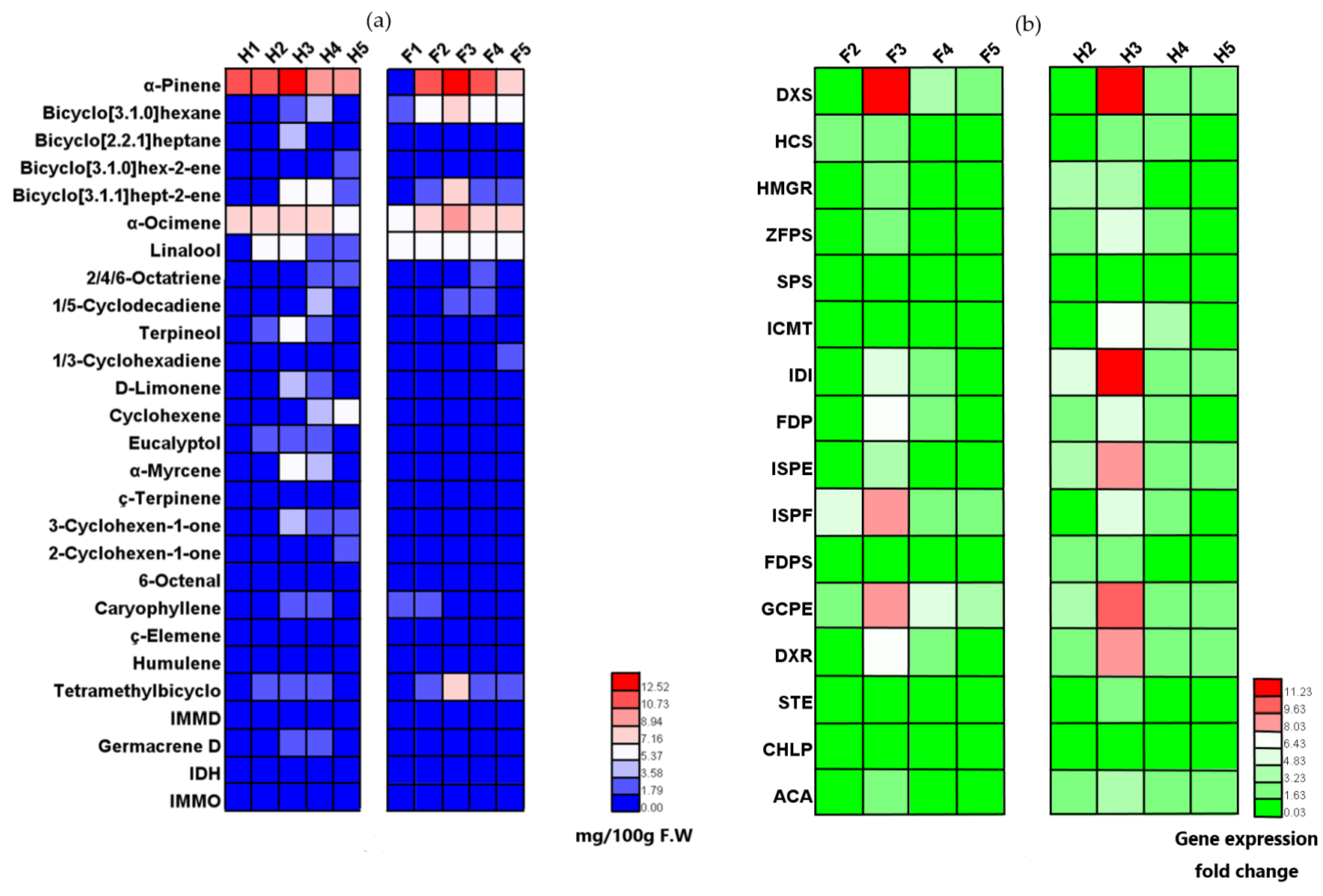 Forests 10 00328 g002