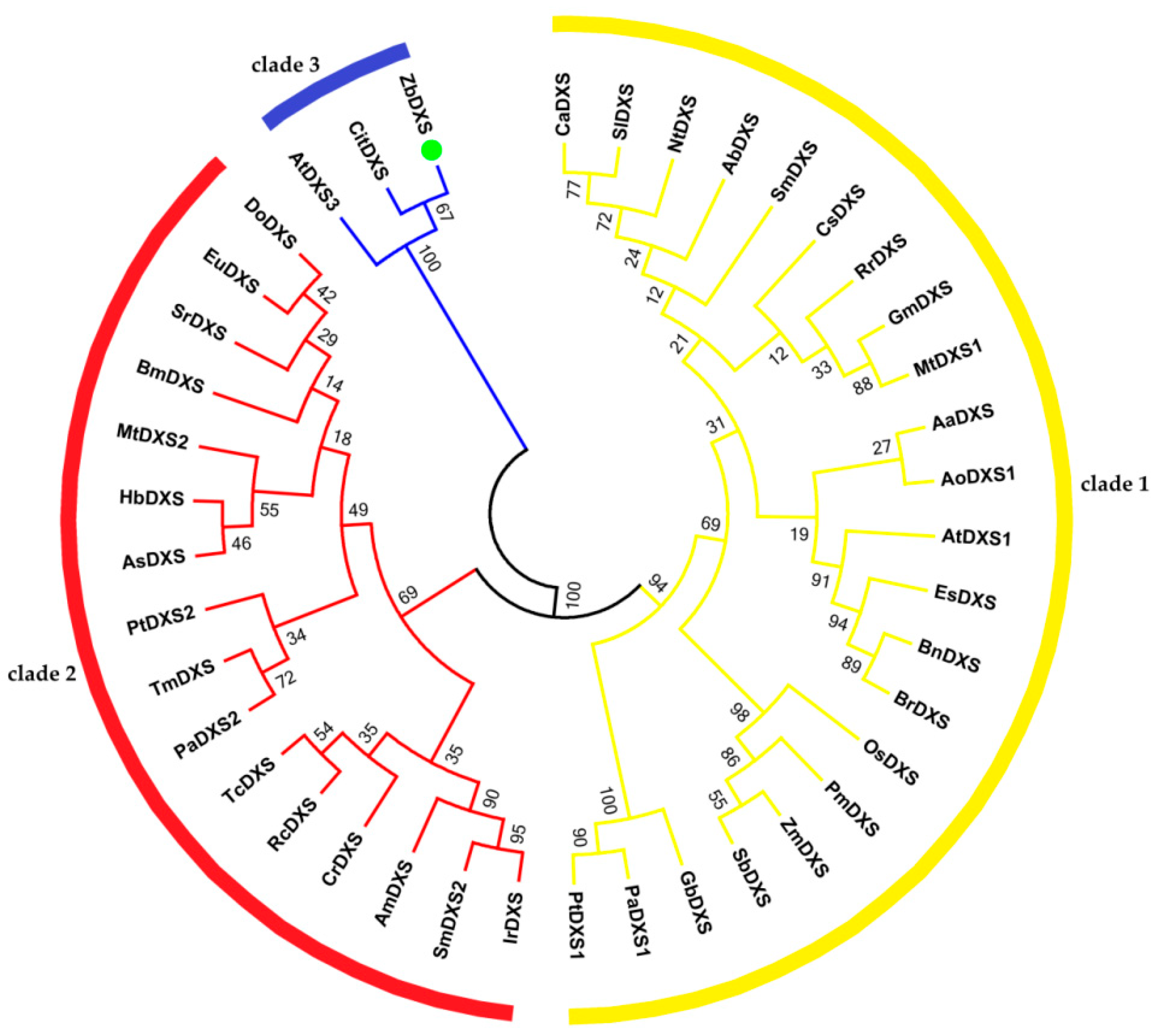 Forests 10 00328 g003
