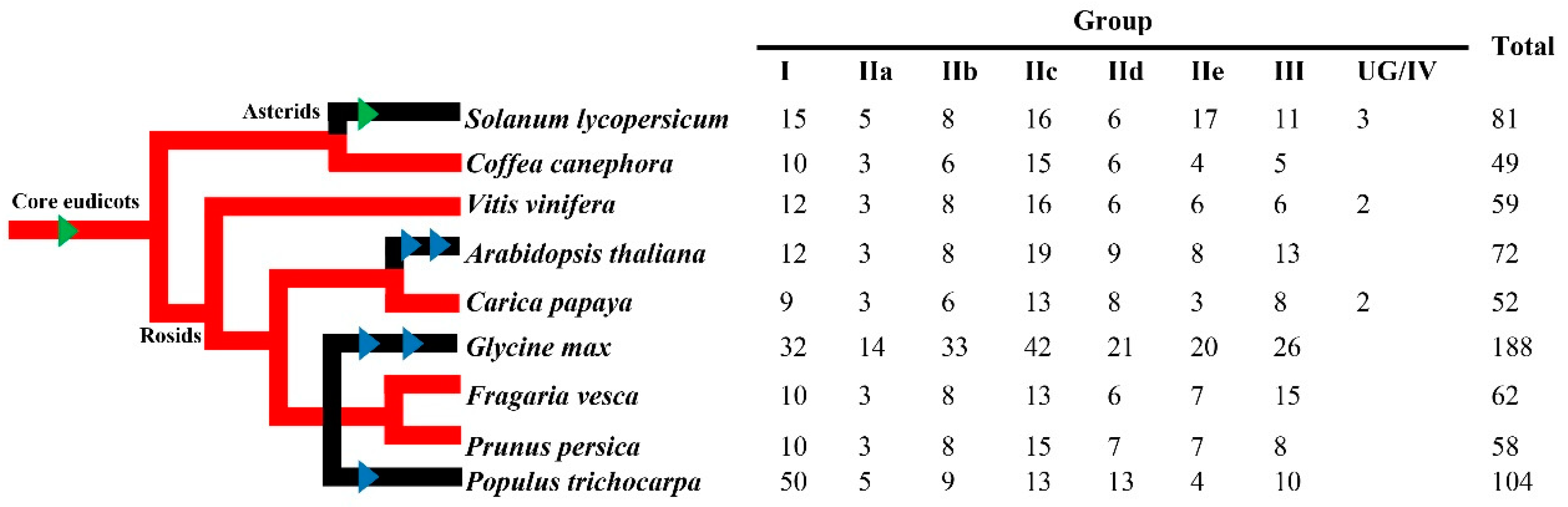 Forests 10 00335 g001