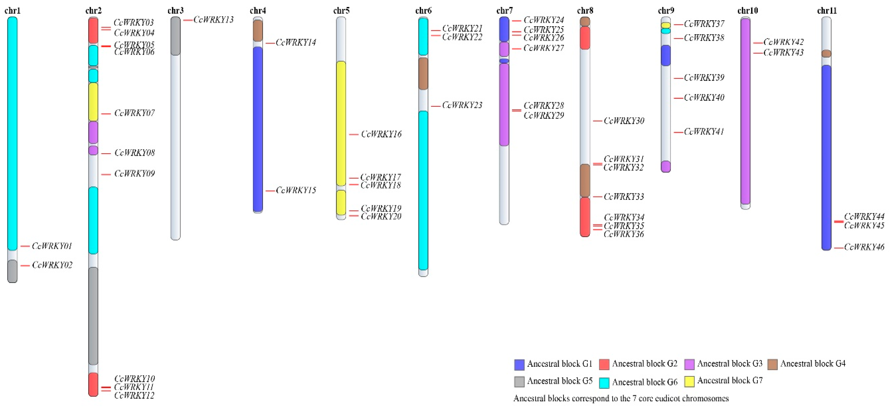 Forests 10 00335 g002