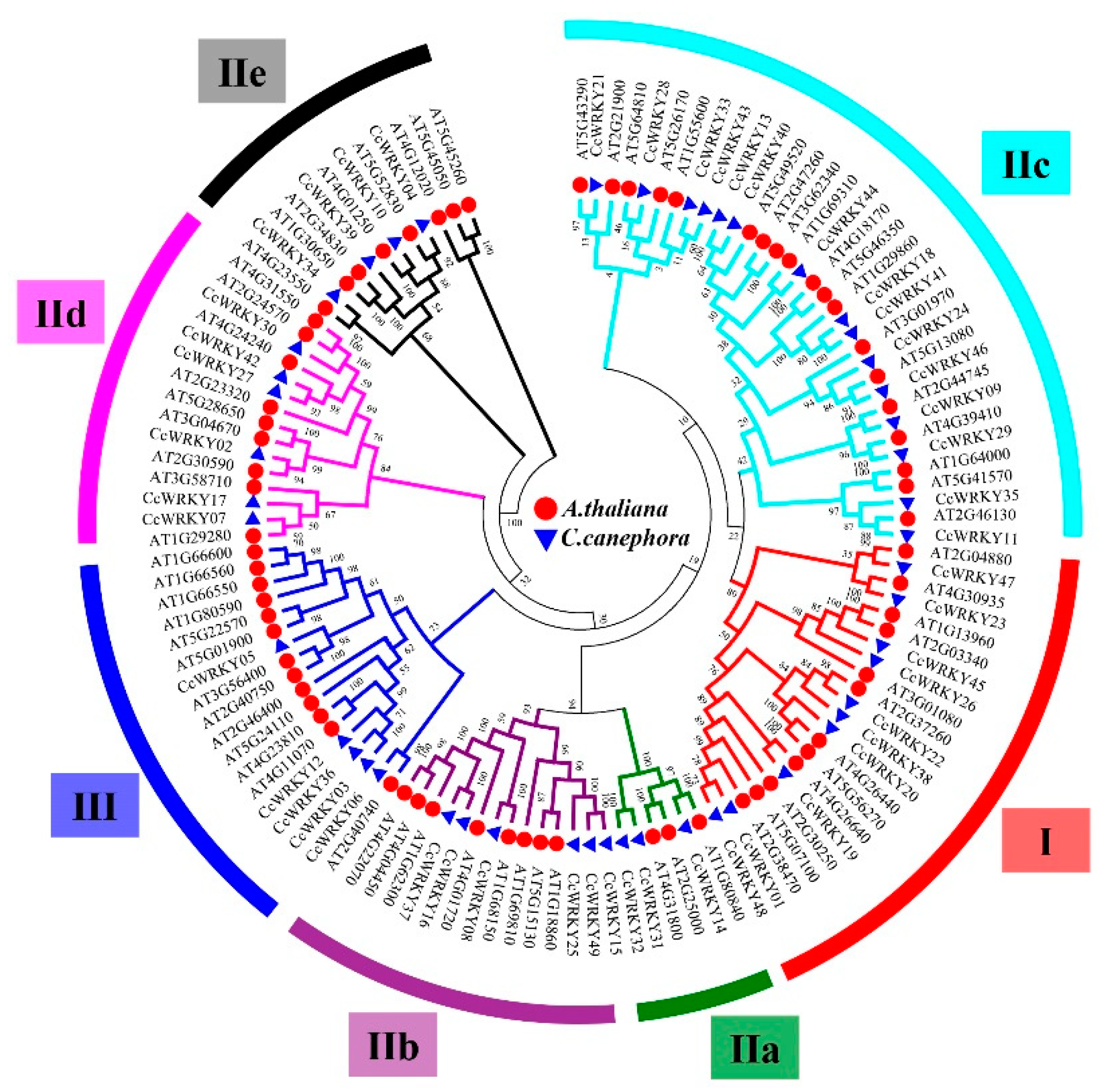 Forests 10 00335 g003