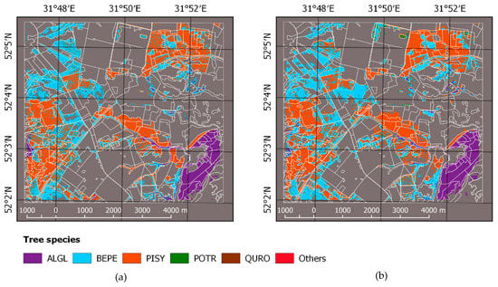 Forests 10 00337 g0a1