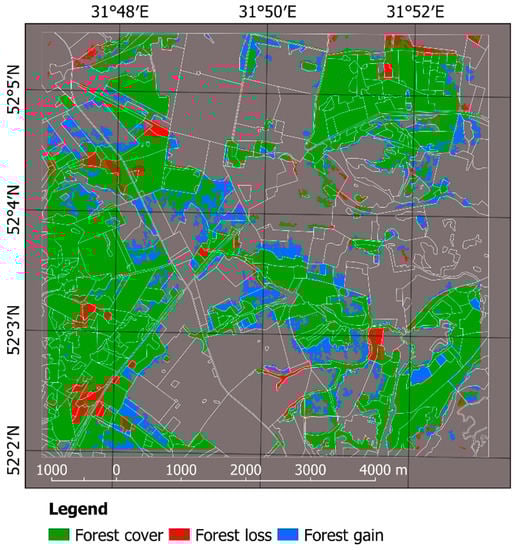 Forests 10 00337 g0a2