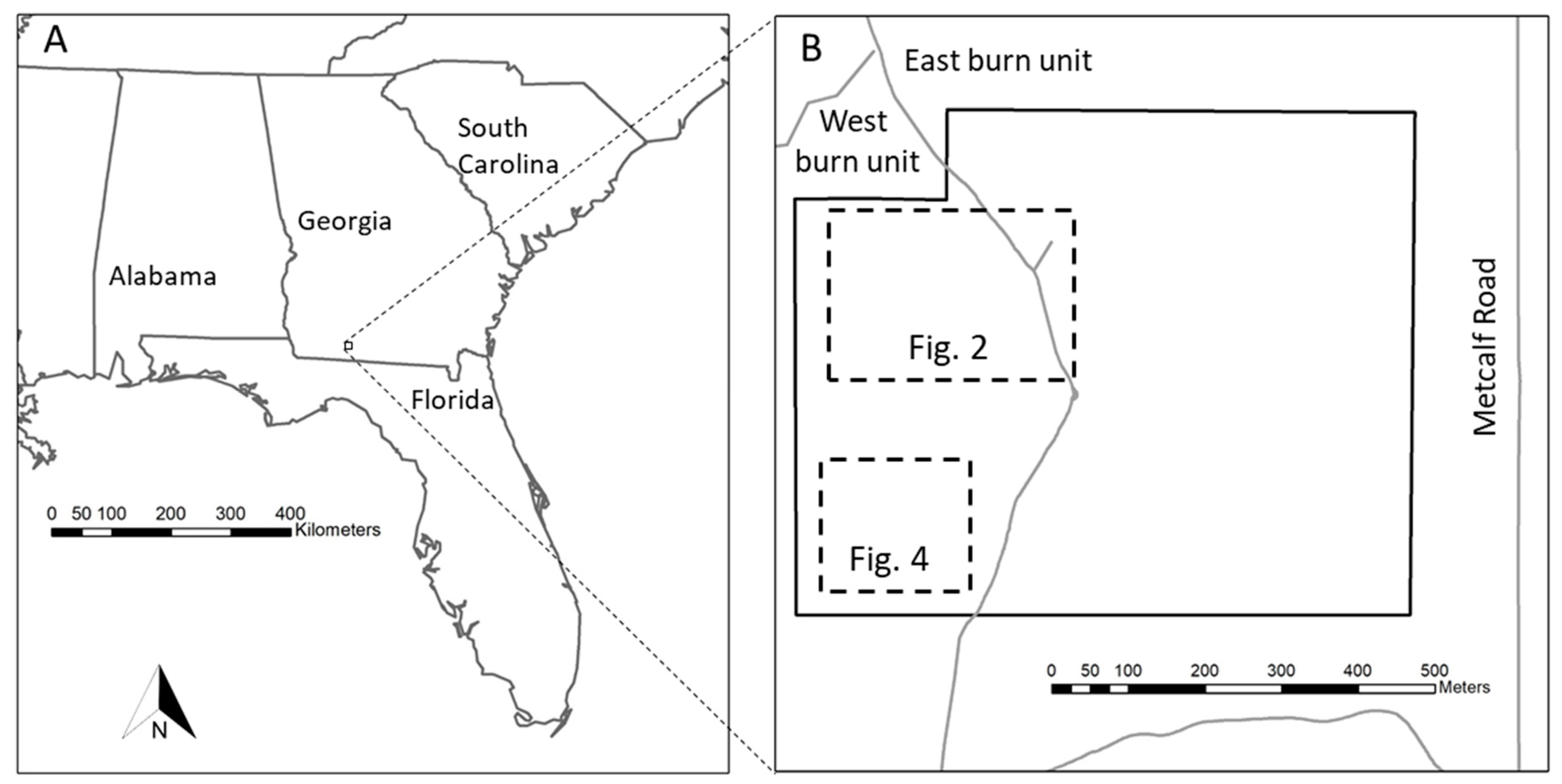 Forests 10 00367 g001
